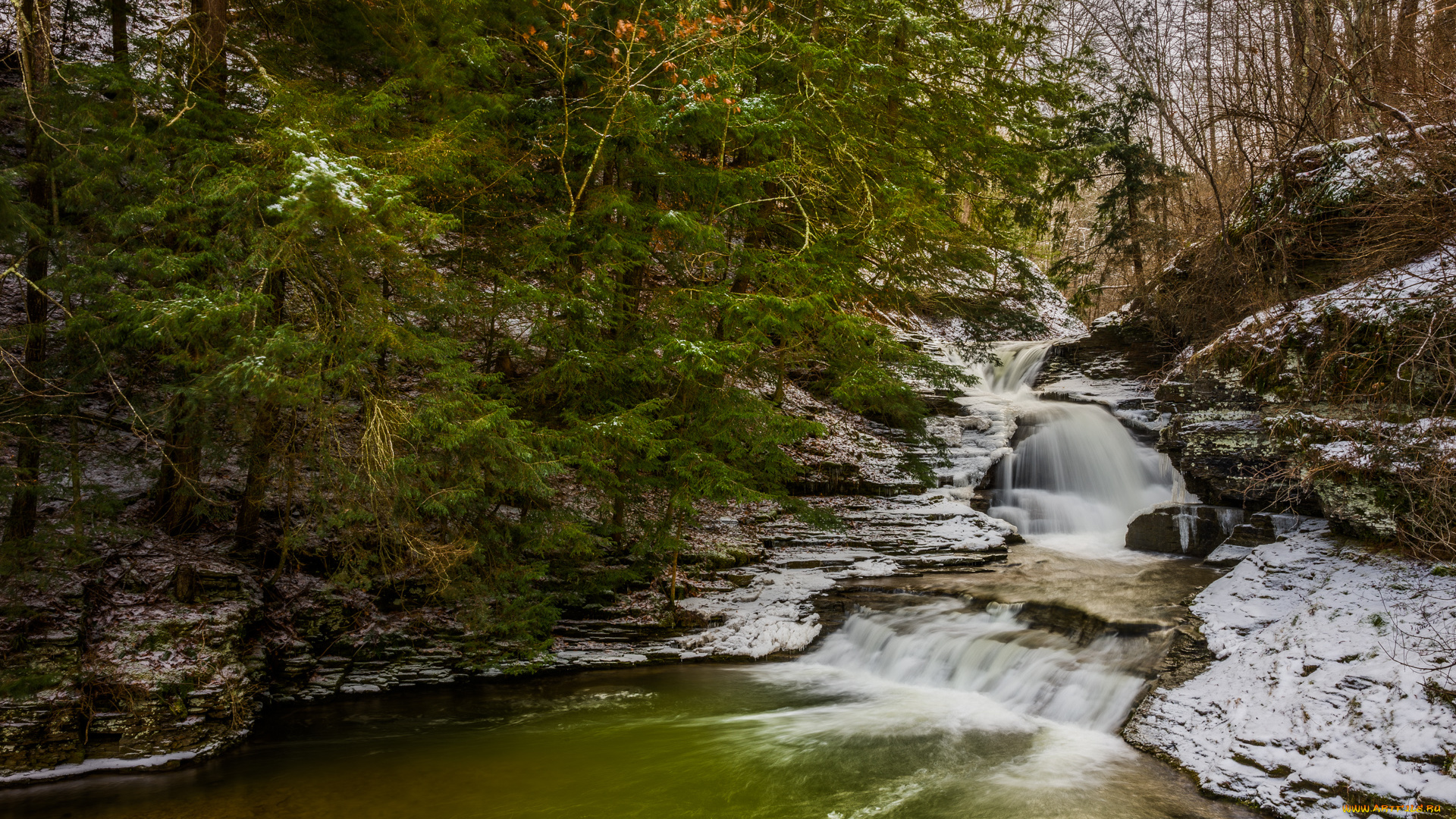 природа, водопады, лес, река, водопад