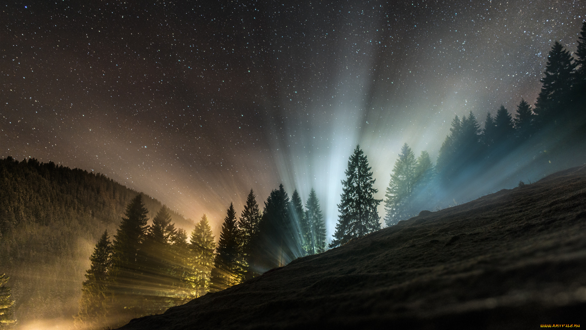 природа, восходы, закаты, ночь, лес, свет