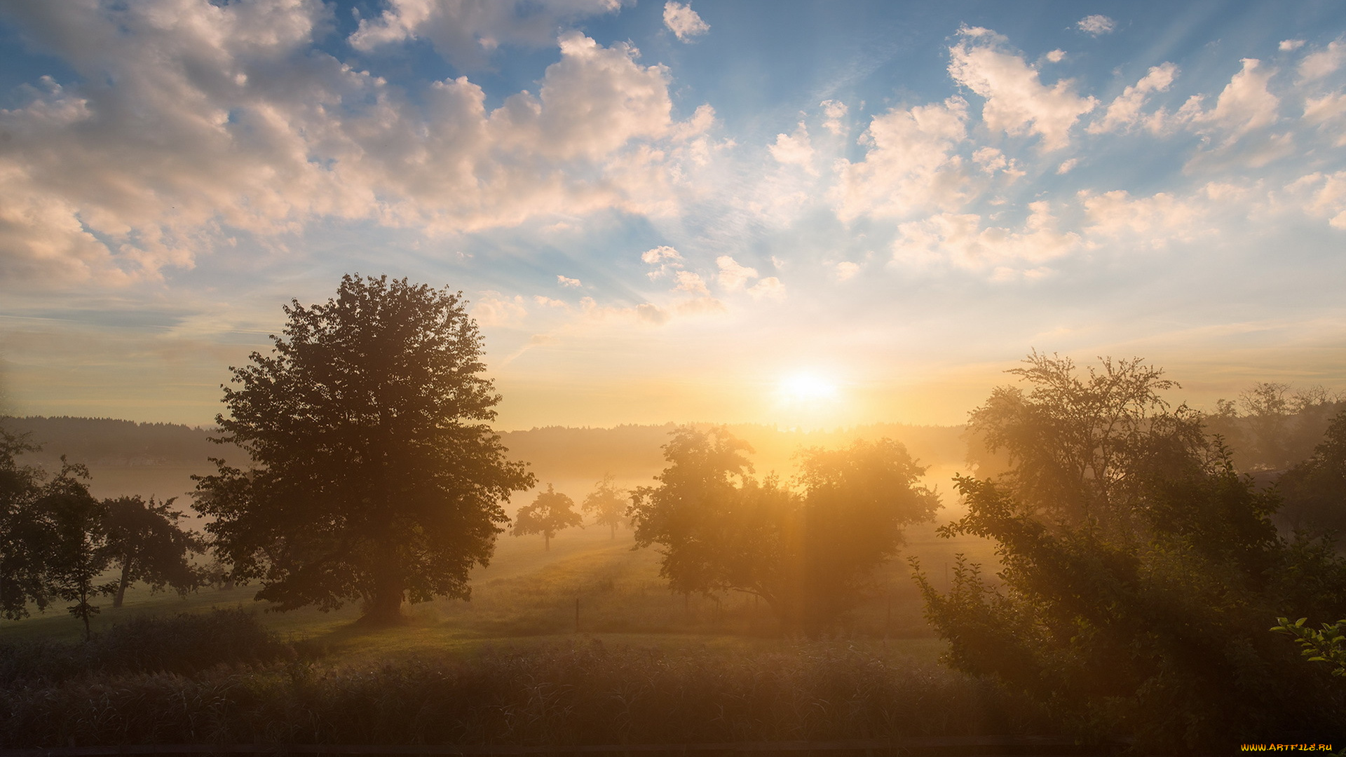 природа, восходы, закаты, утро, туман, пейзаж