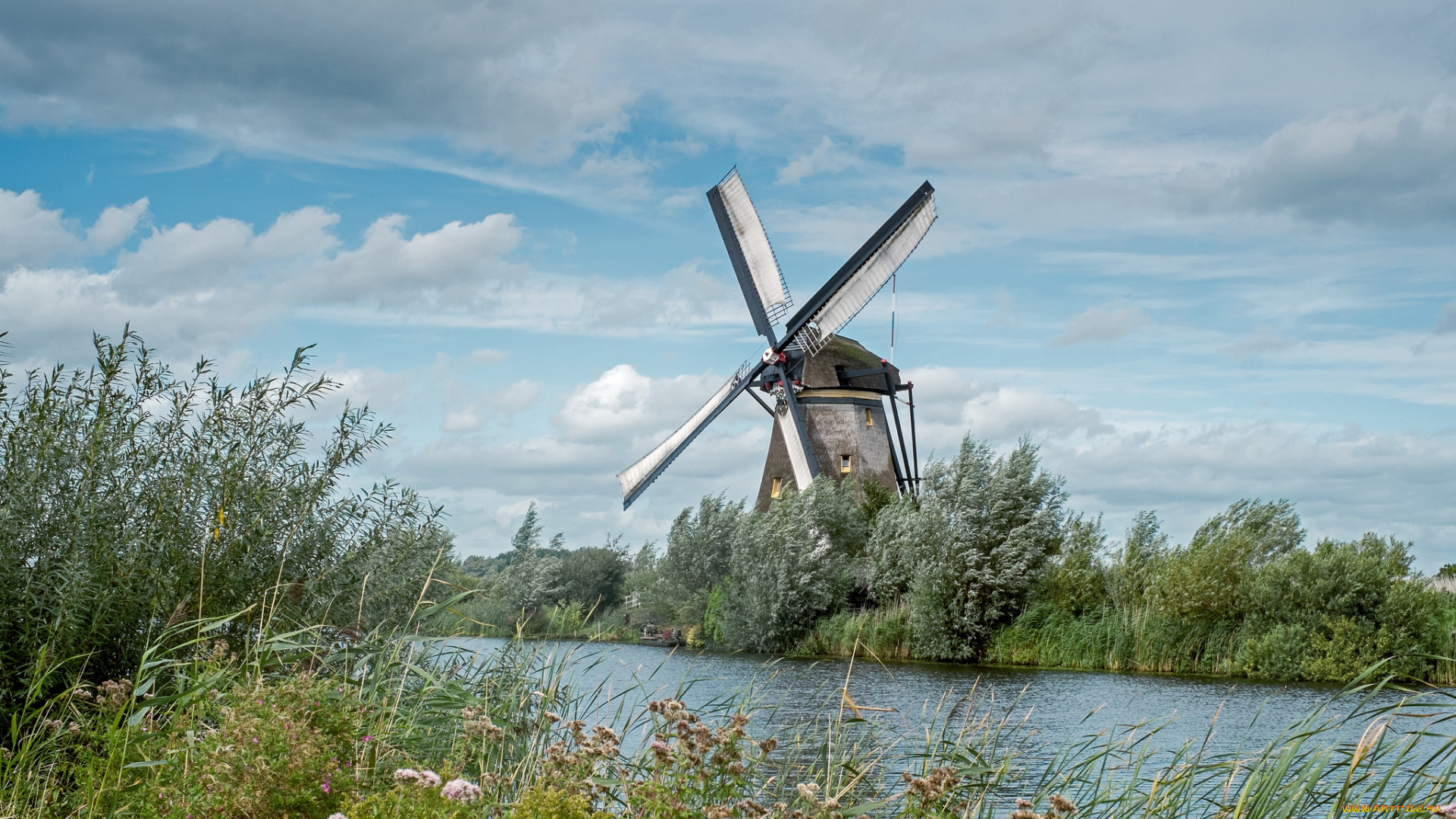 разное, мельницы, ветряк, заросли, река