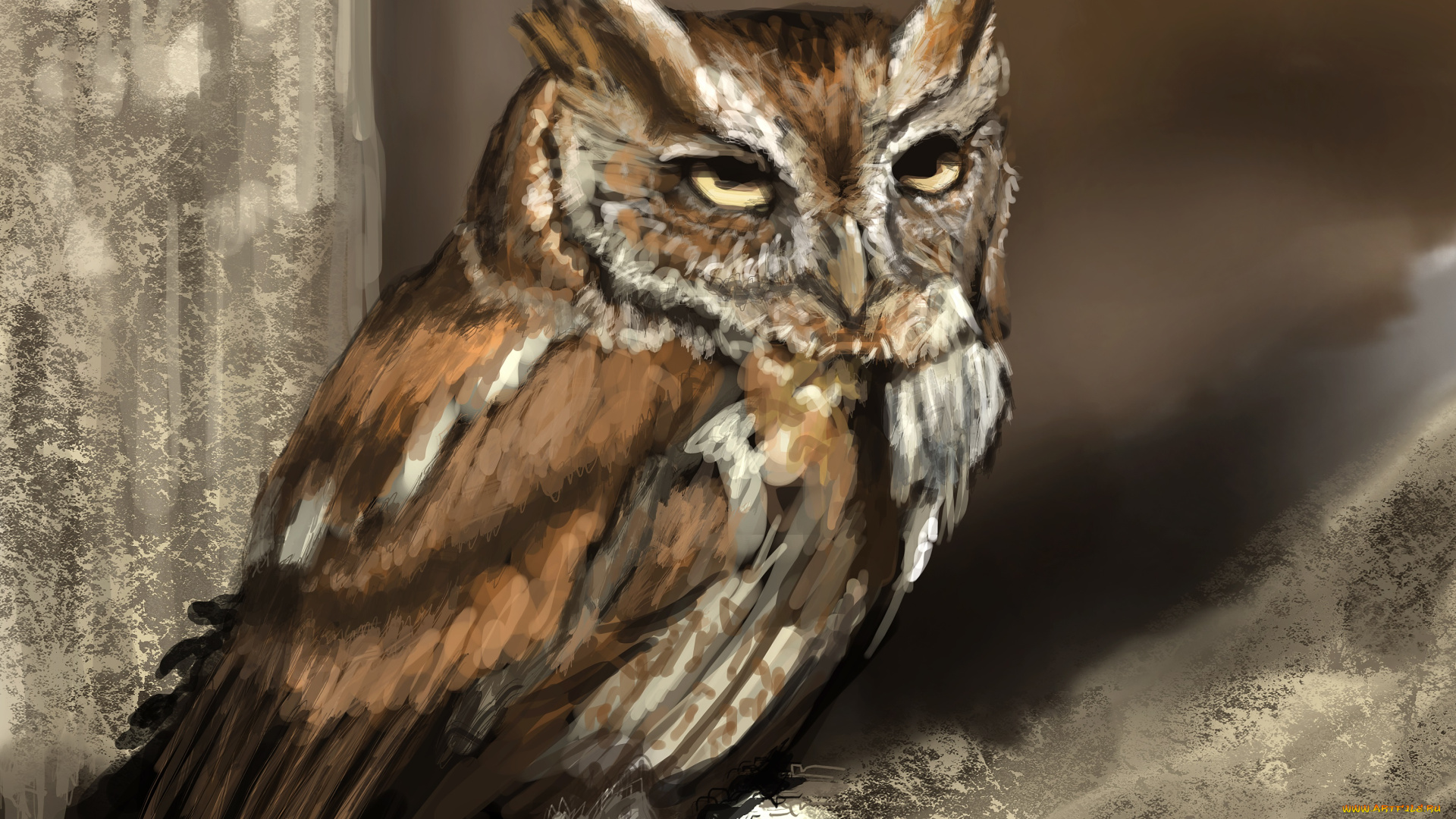 рисованные, животные, , птицы, , совы, , филины, дерево, птица, сова