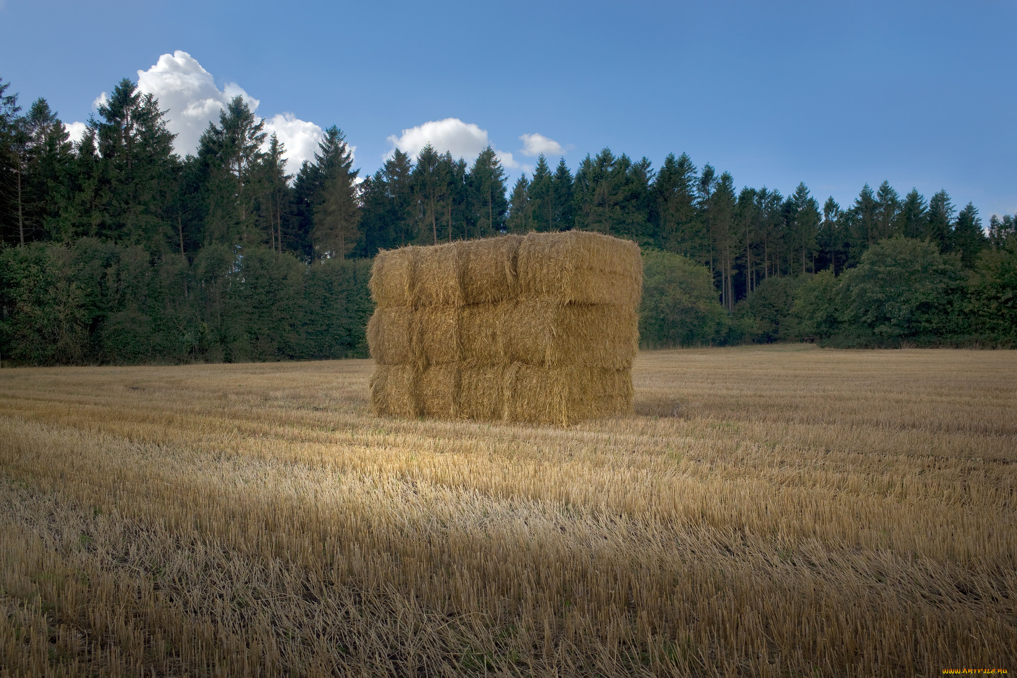 природа, поля, тюки, небо, поле, сено
