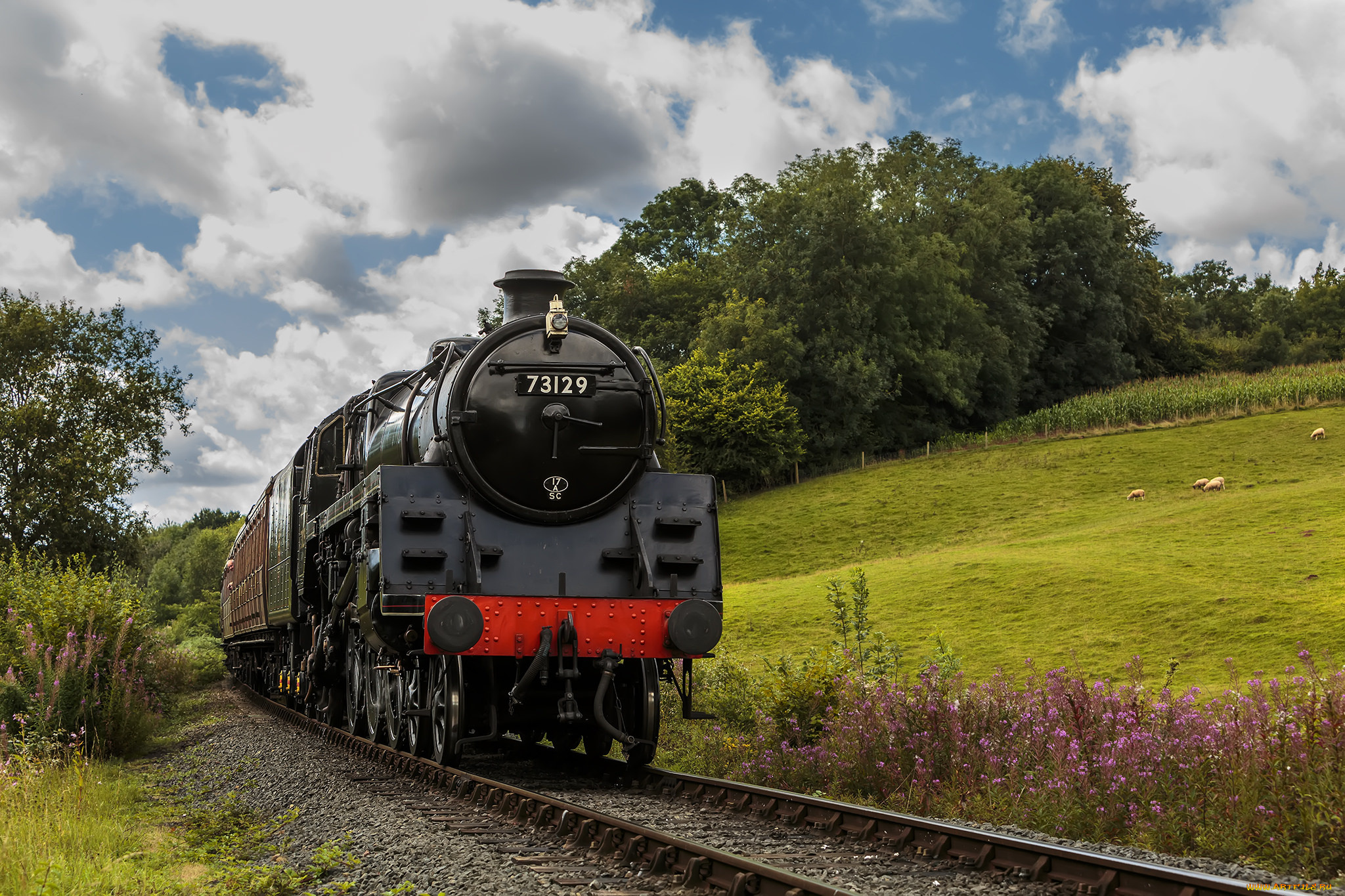 техника, паровозы, паровоз, рельсы, дорога, железная