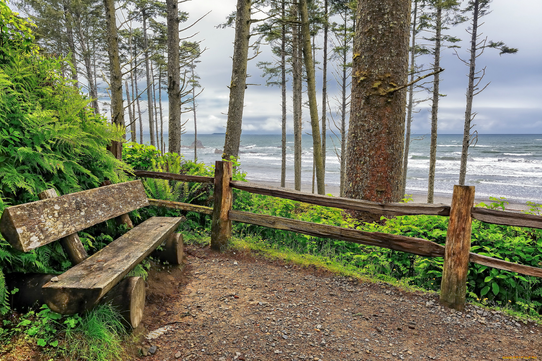природа, побережье, берег, океан, скамейка, площадка