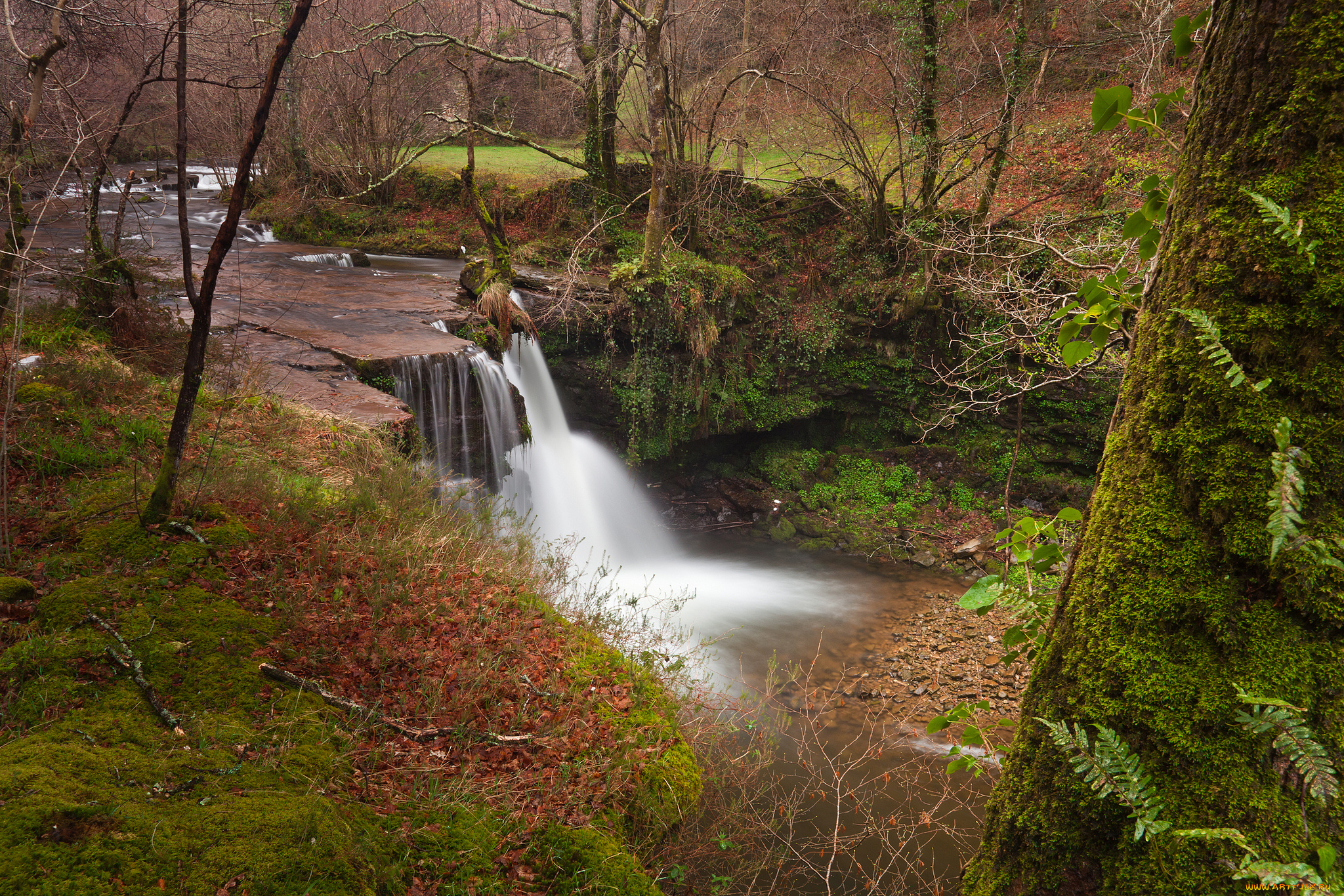 природа, водопады, водопад, река, лес