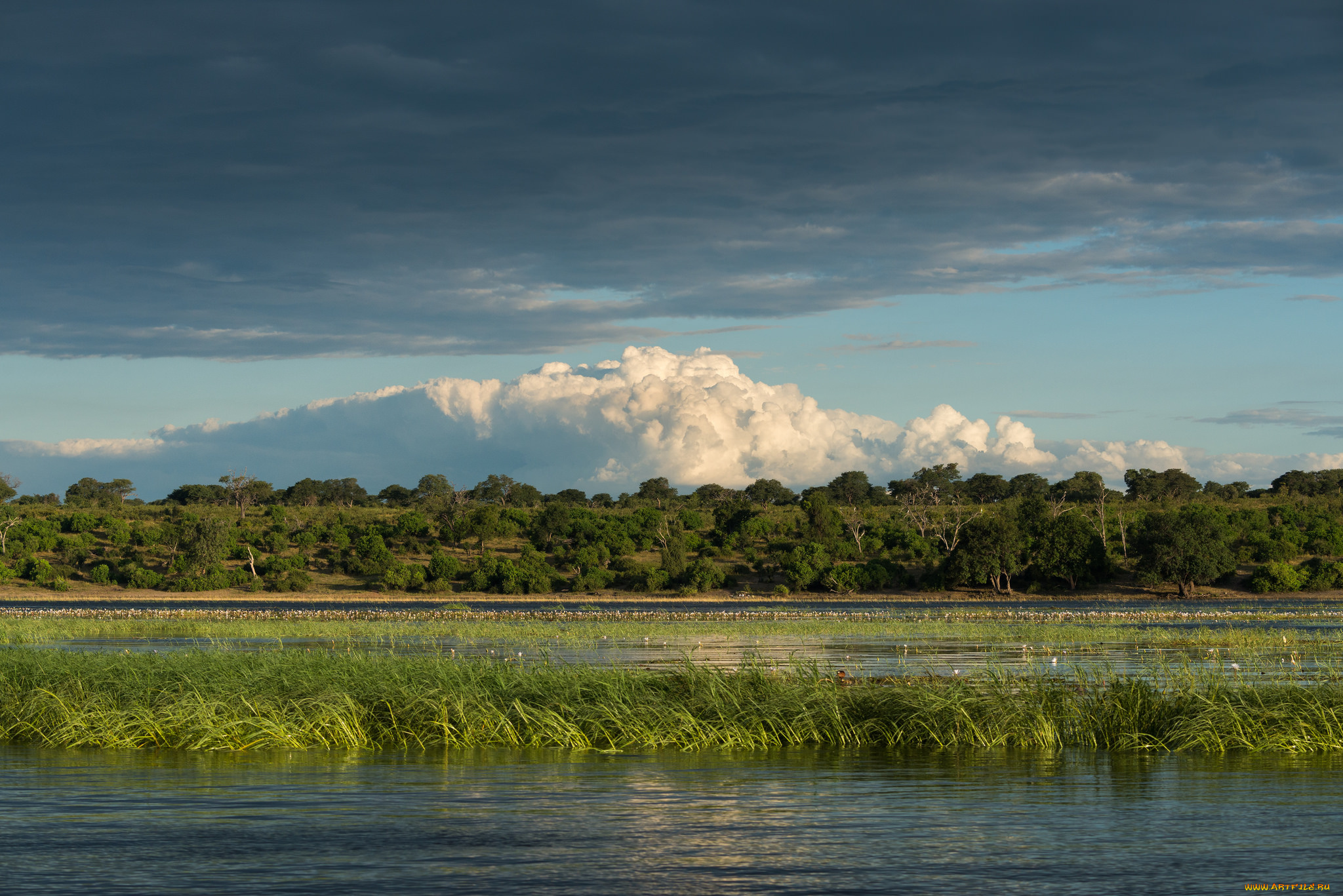 природа, реки, озера, облака, пейзаж, деревья, небо, озеро