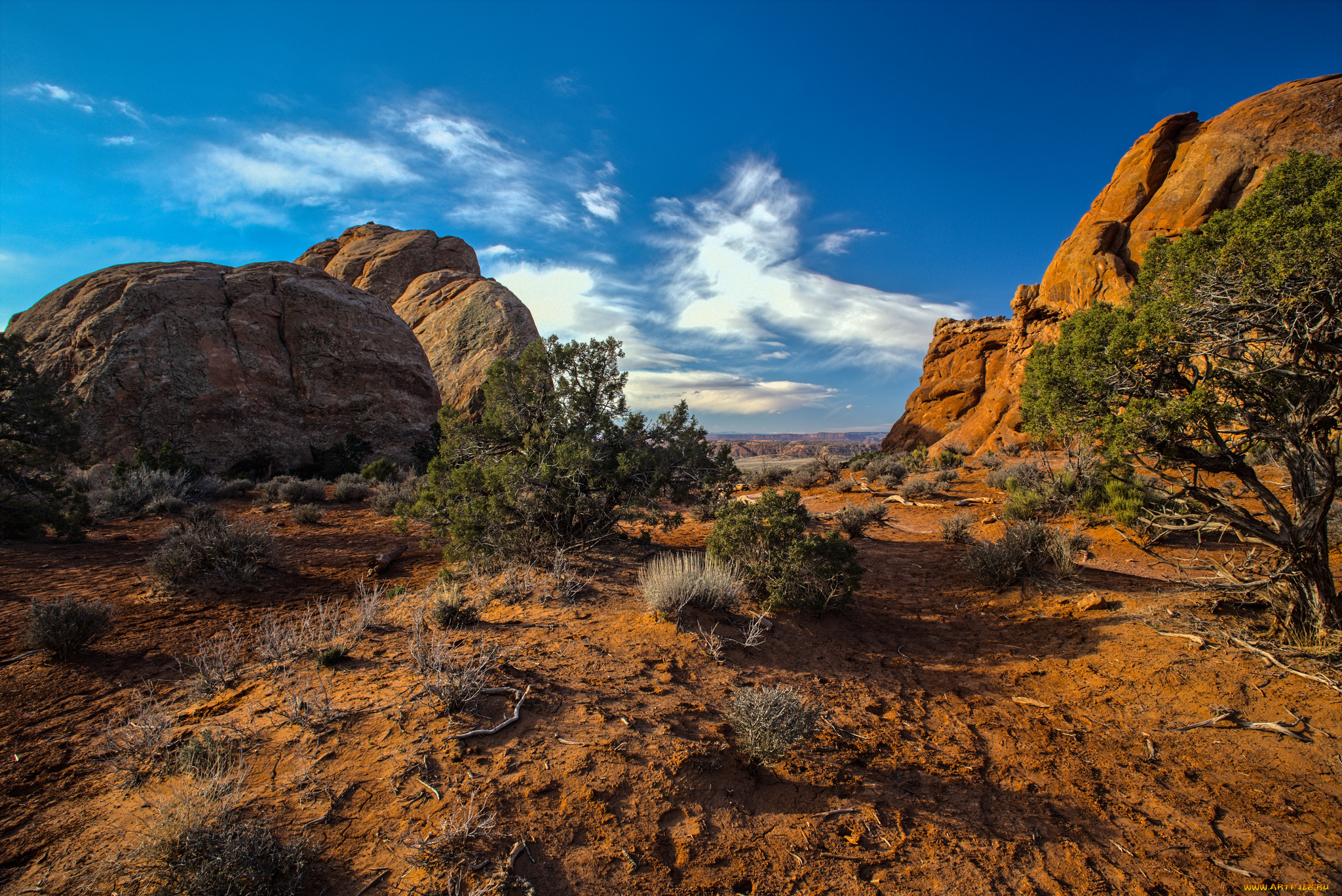 природа, горы, скалы, кусты