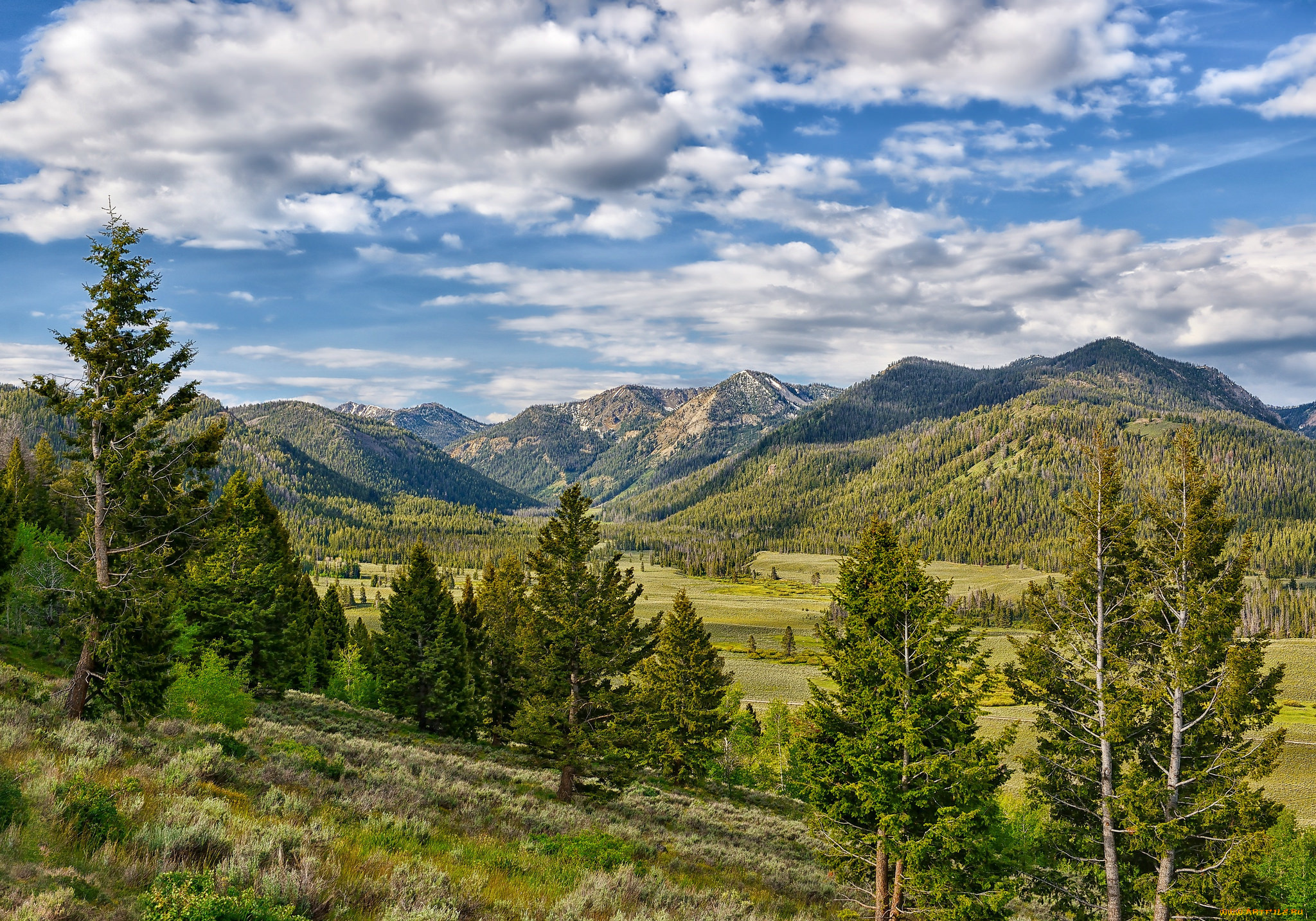 природа, пейзажи, лес, горы, долина