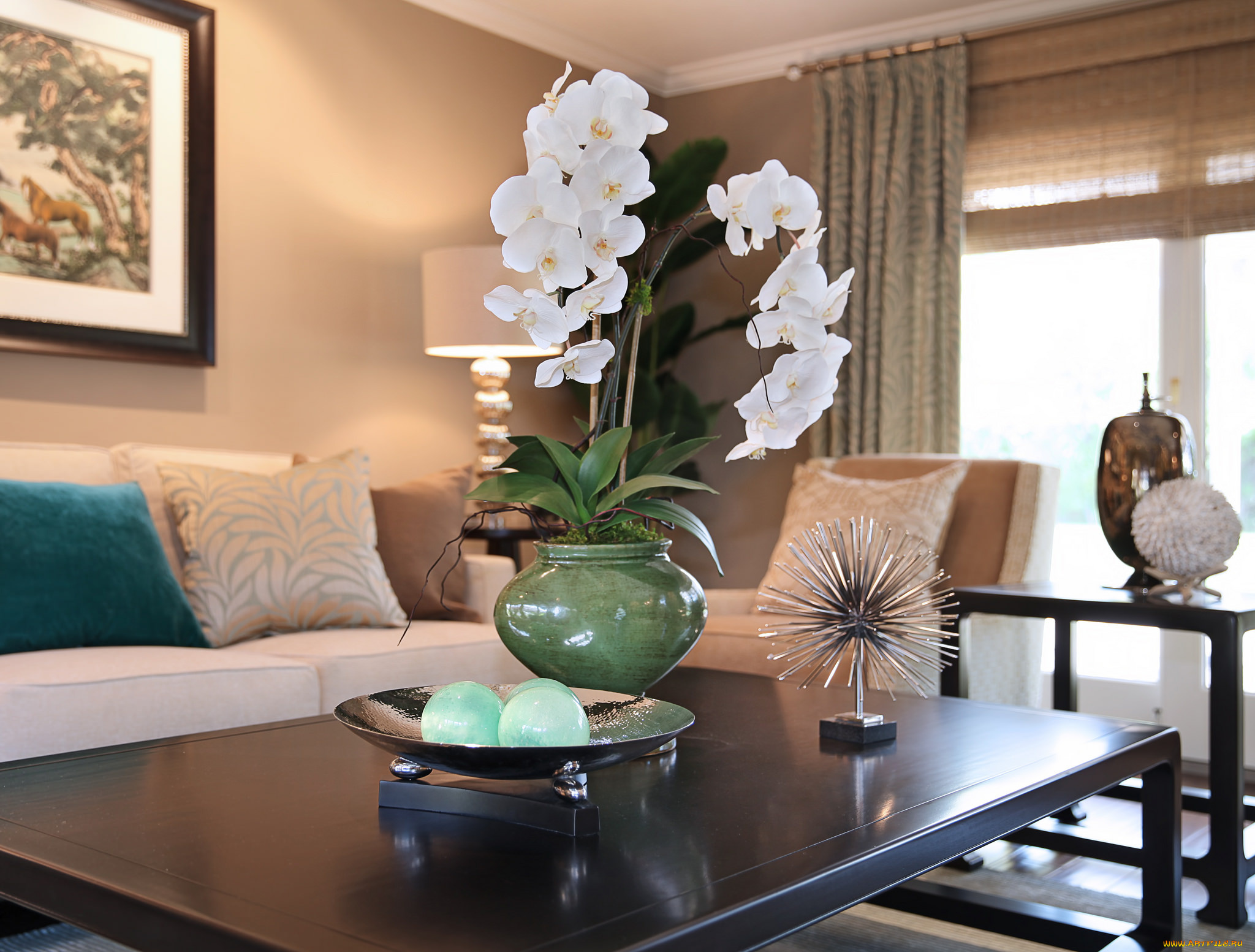 цветы, орхидеи, цветение, белая, орхидея, цветок, комната