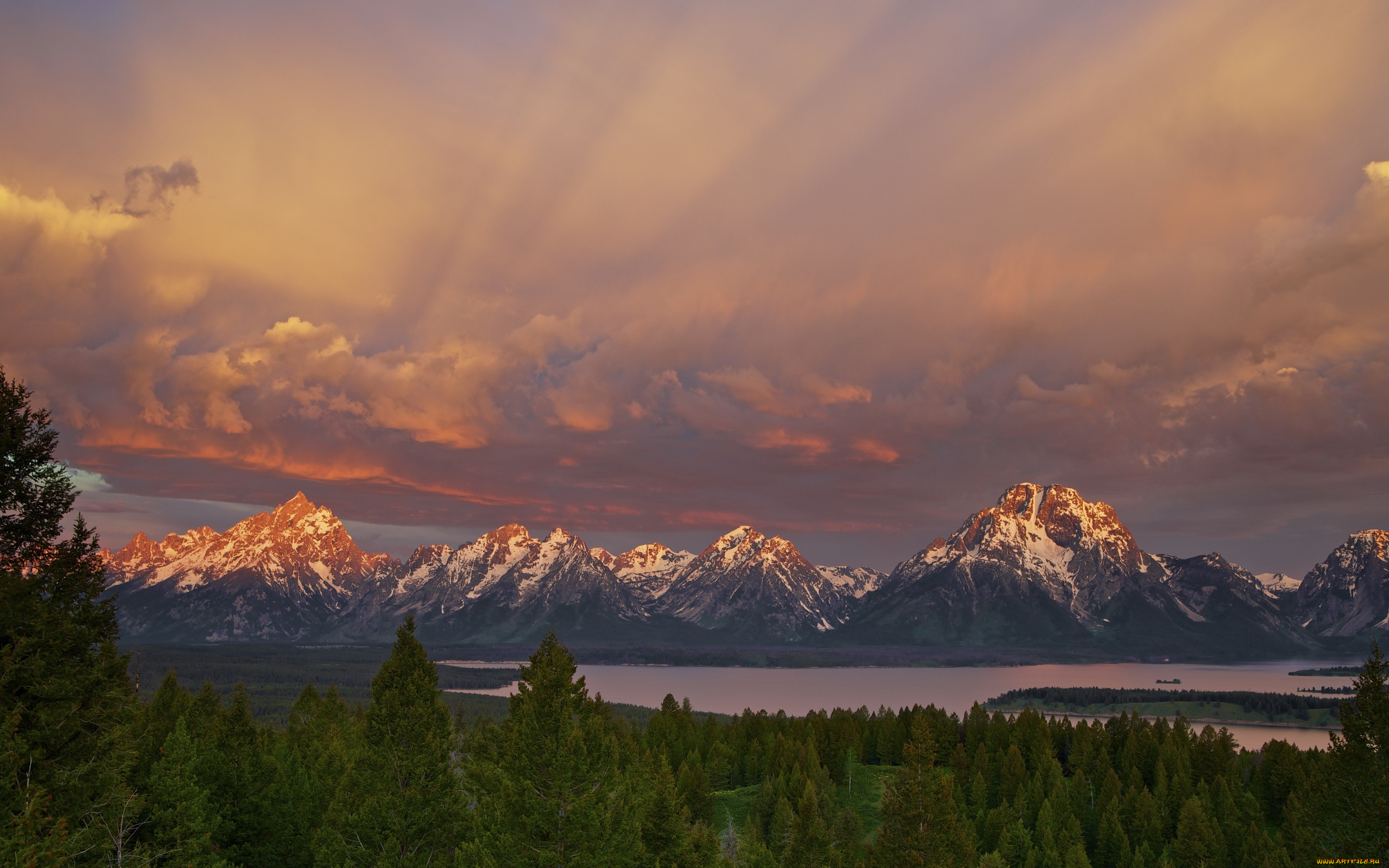 природа, реки, озера, штат, вайоминг, сша, национальный, парк, гранд-титон, лес, небо, горы, утро, озеро