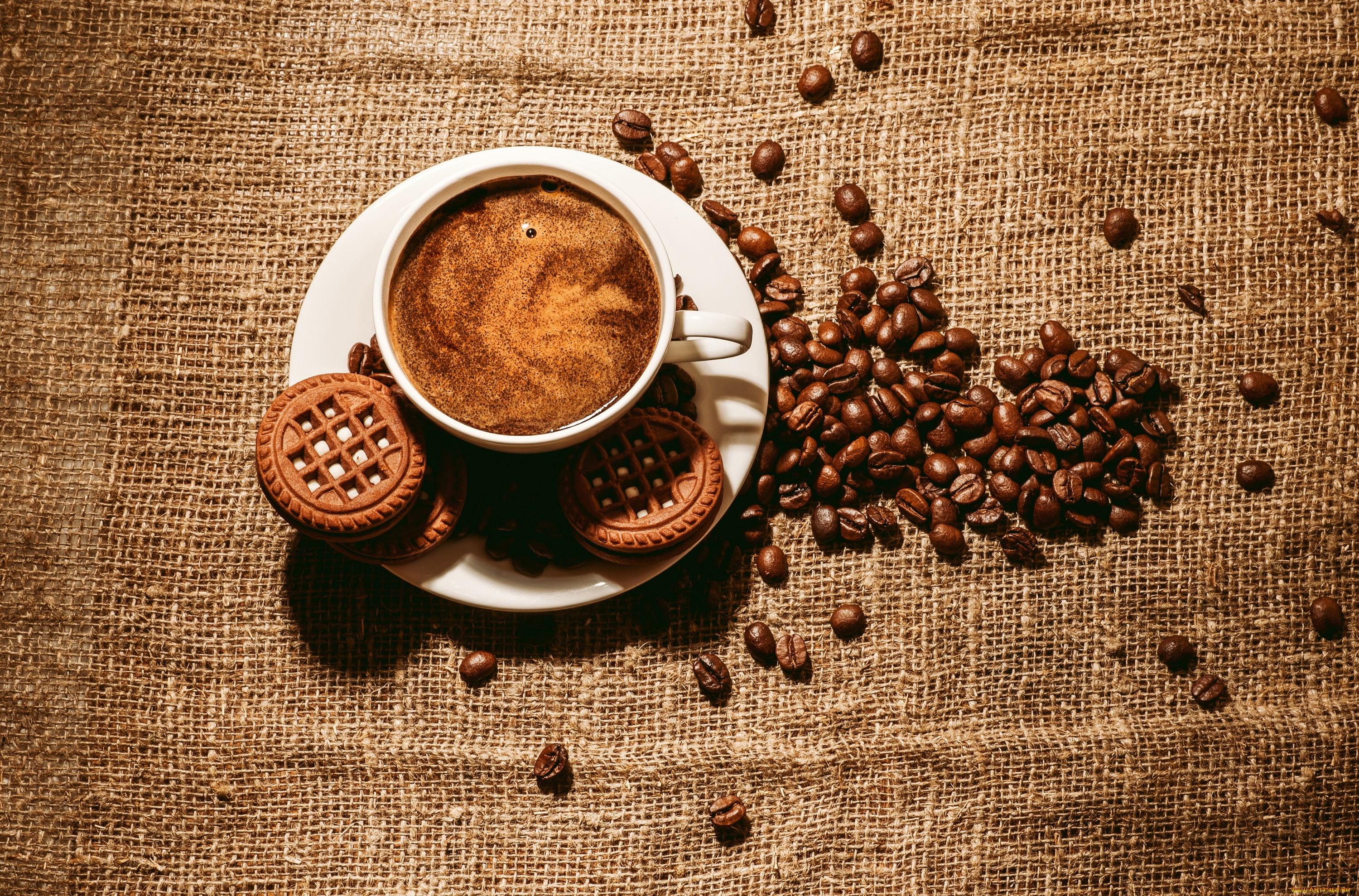 еда, кофе, , кофейные, зёрна, печенье, печеньки, зерна, блюдце, чашка, пена