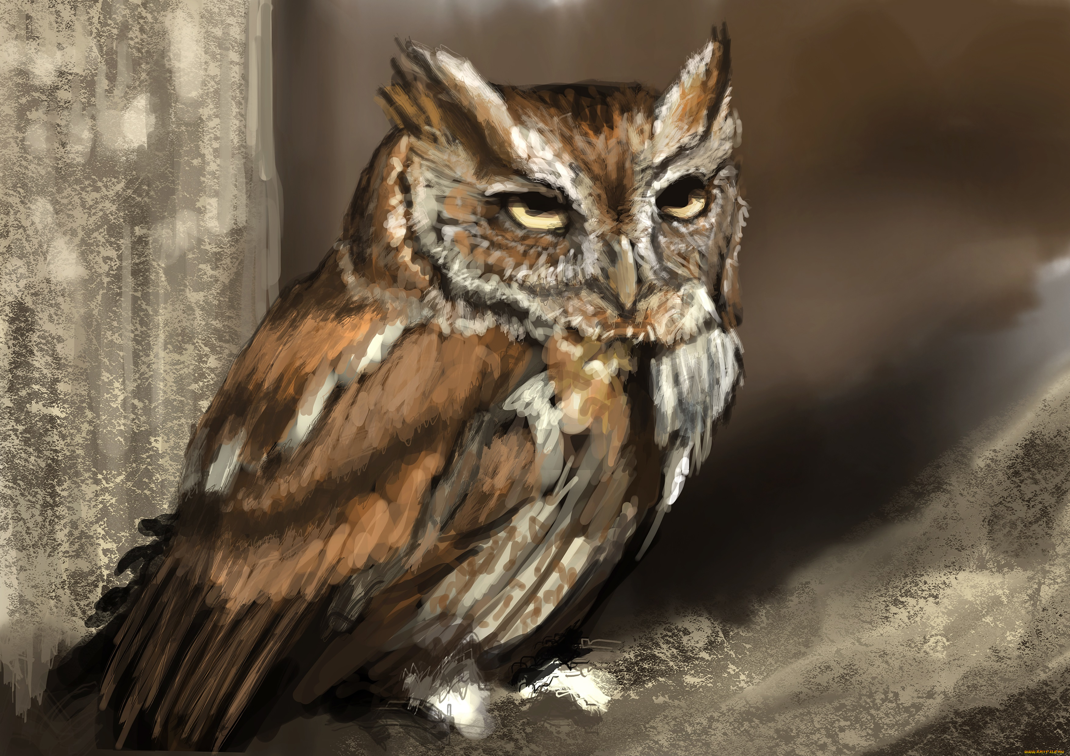 рисованные, животные, , птицы, , совы, , филины, дерево, птица, сова