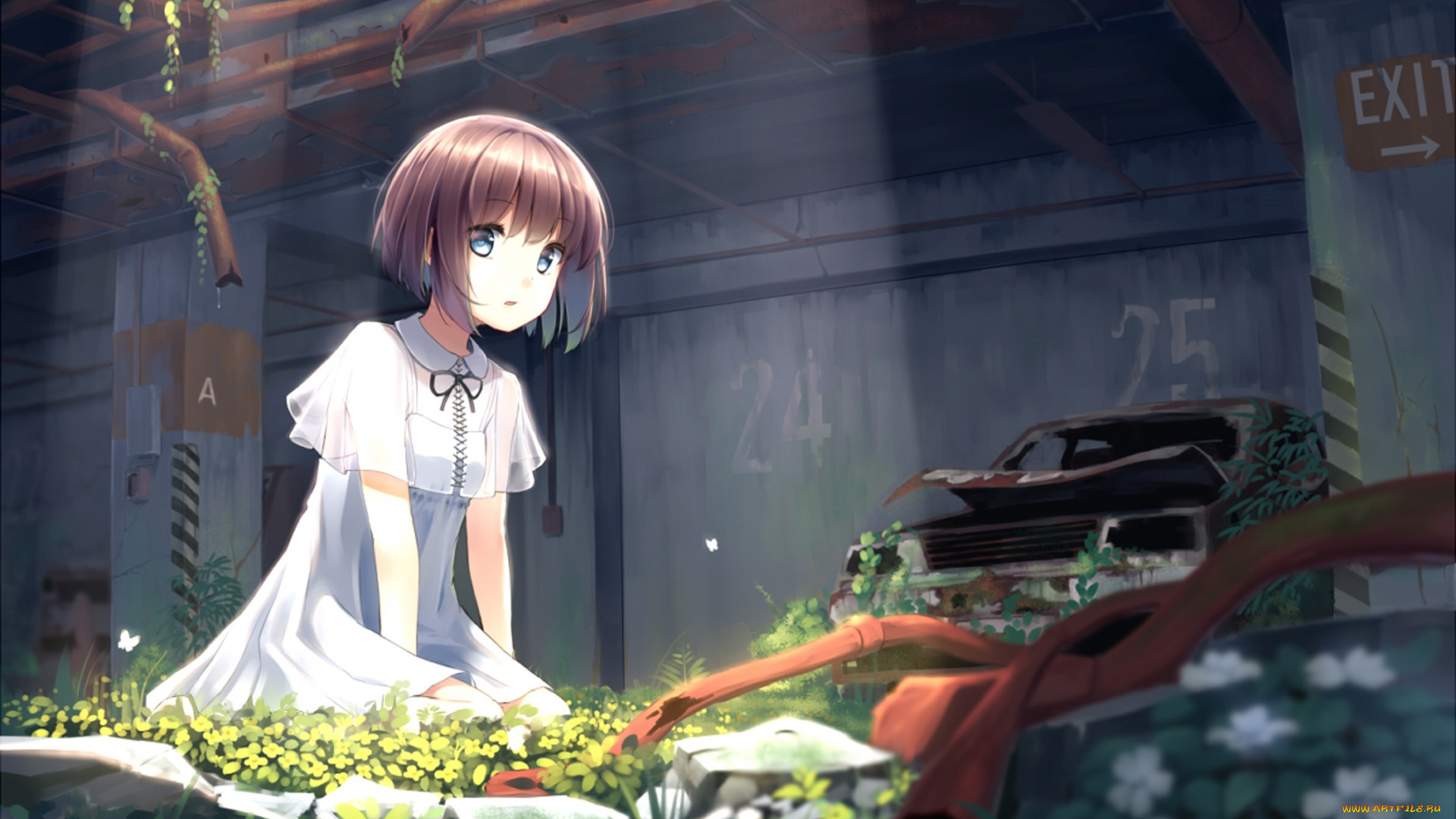 аниме, unknown, , другое, девушка