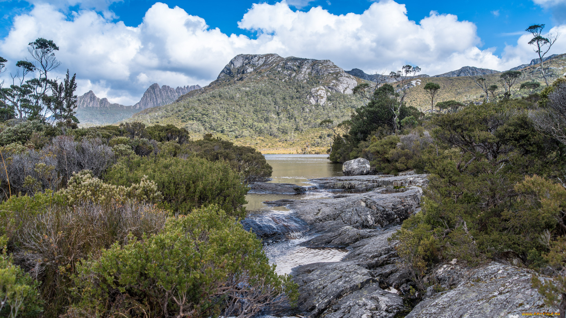природа, пейзажи, простор