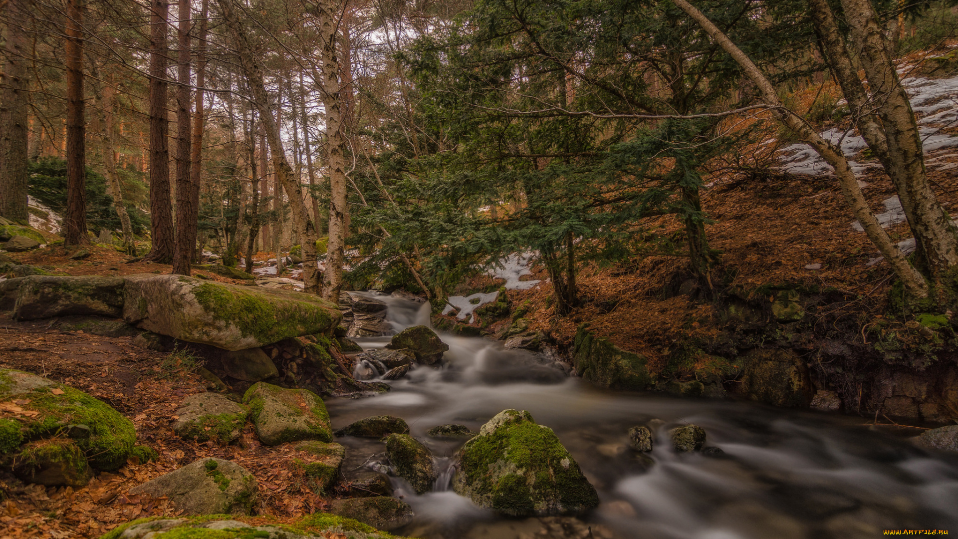 природа, реки, озера, простор