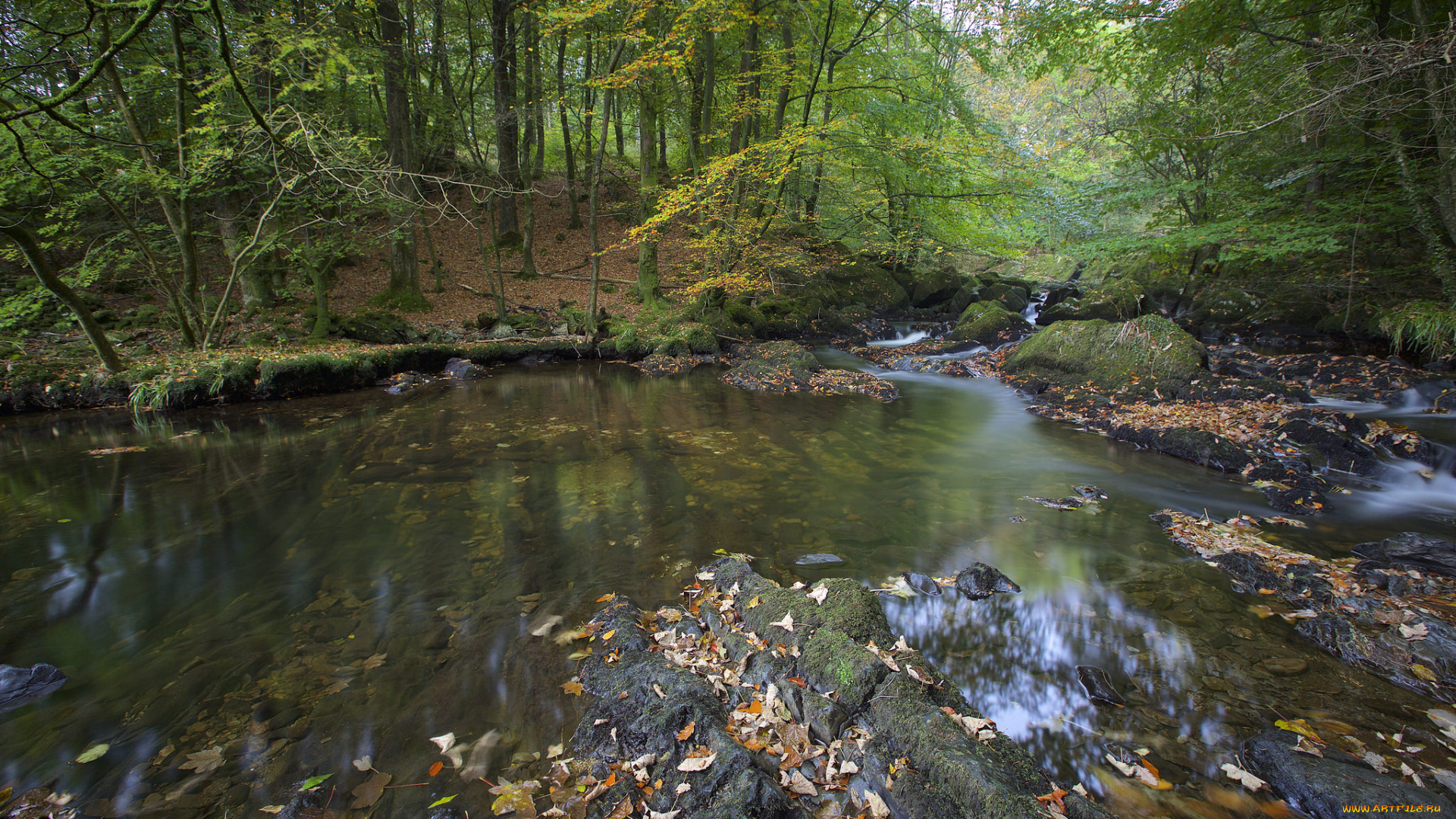 природа, реки, озера, простор