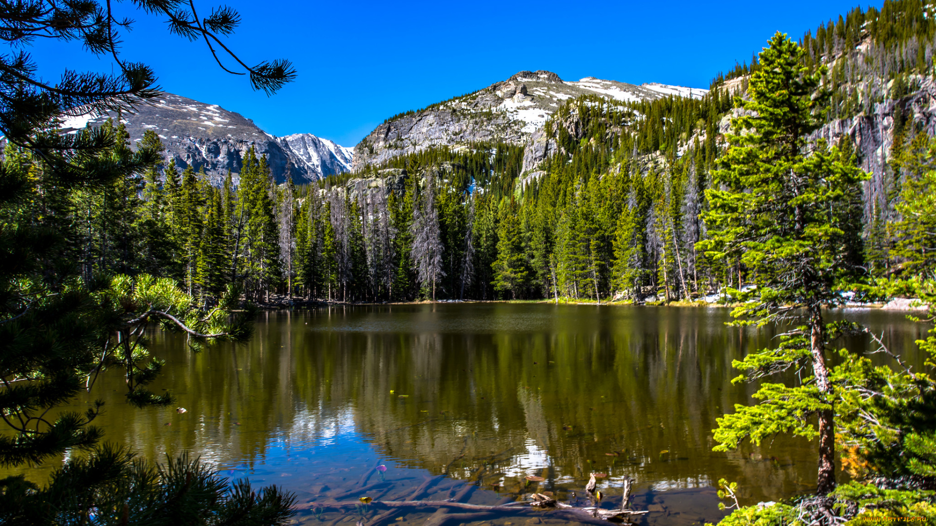 природа, реки, озера, простор