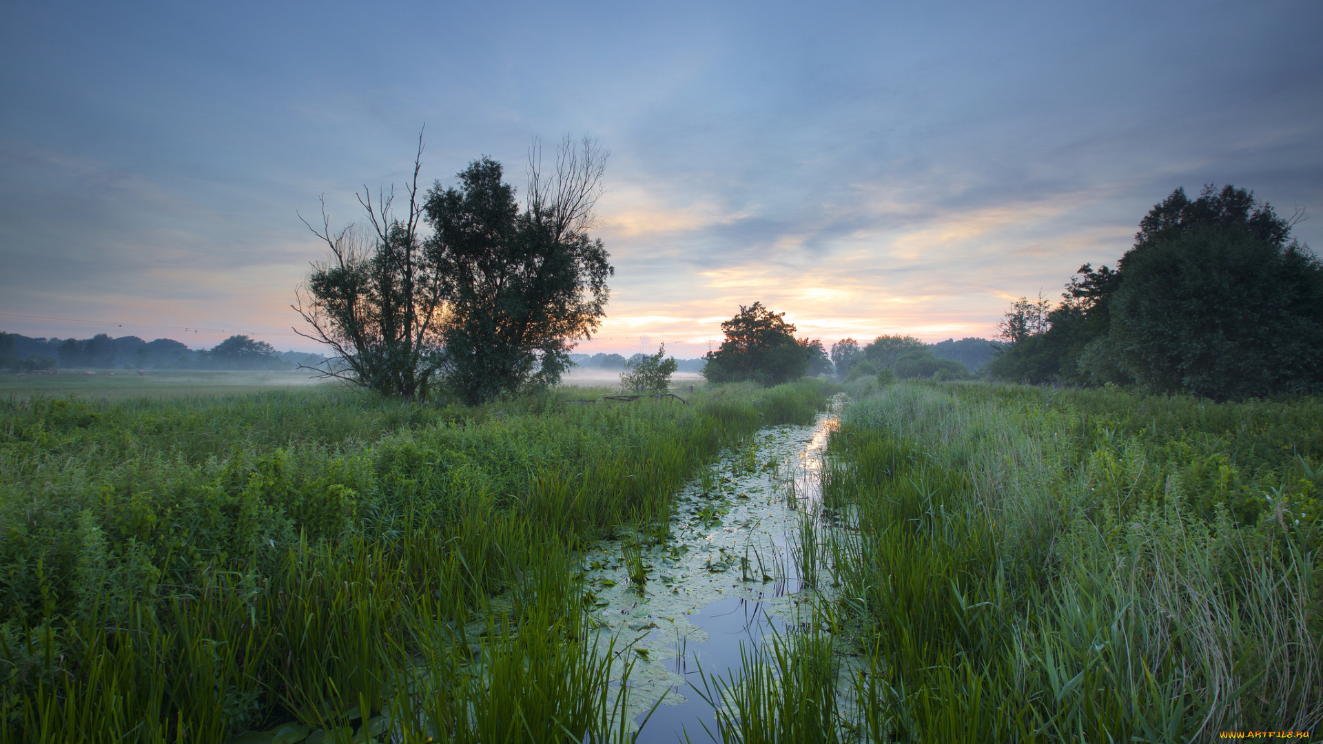 природа, реки, озера, простор