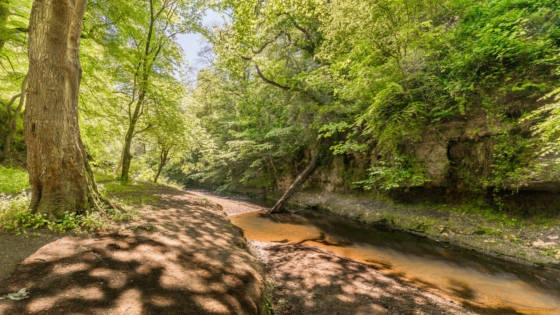 природа, реки, озера, простор