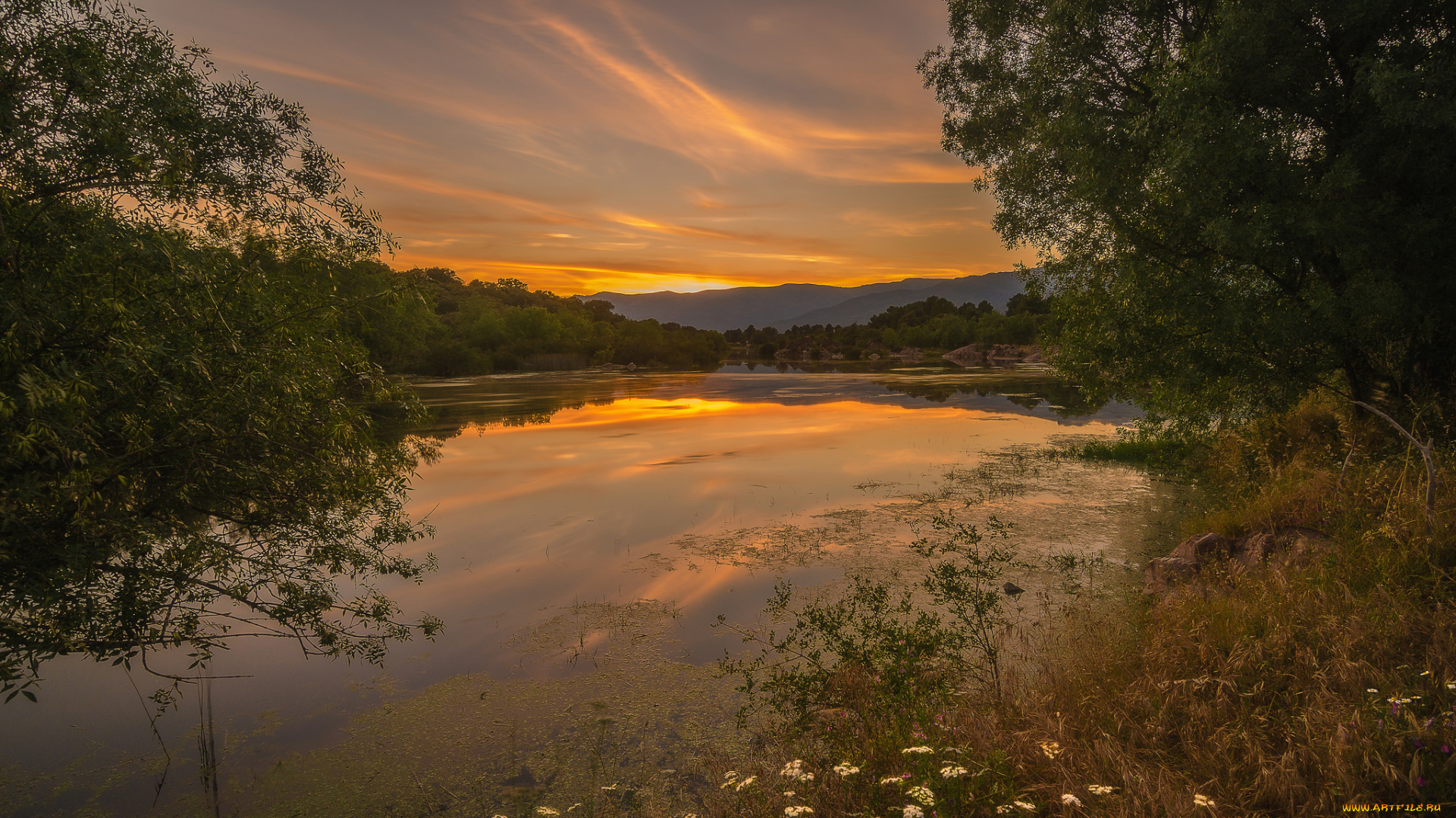 природа, реки, озера, простор