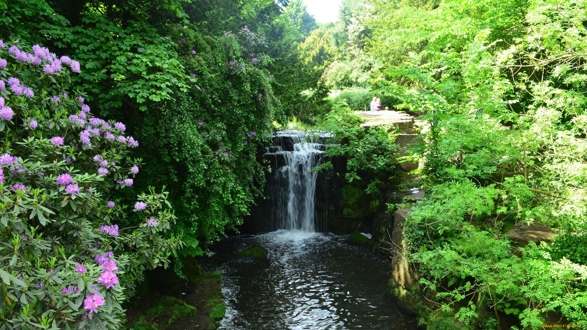 природа, водопады, кусты, англия, ньюкасл-апон-тайн, водопад, jesmond, dene, park