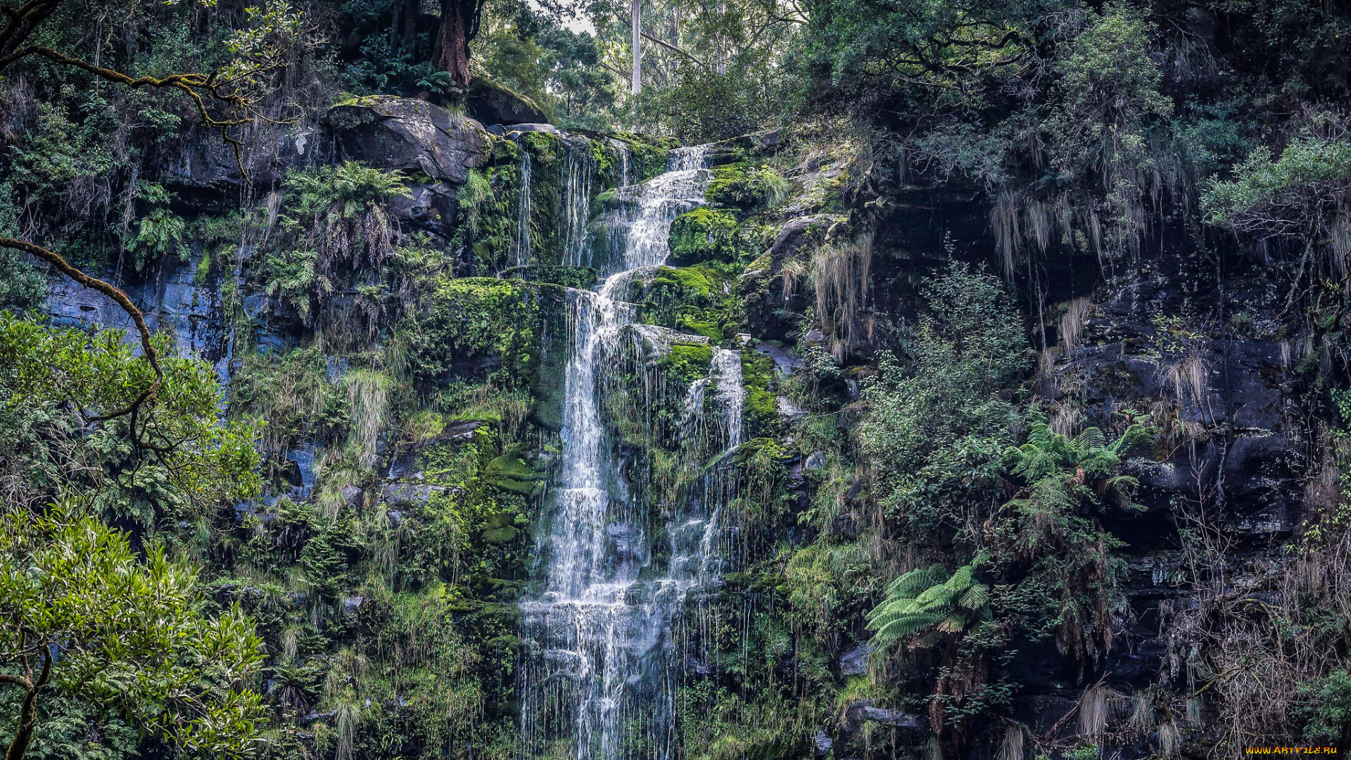 природа, водопады, простор