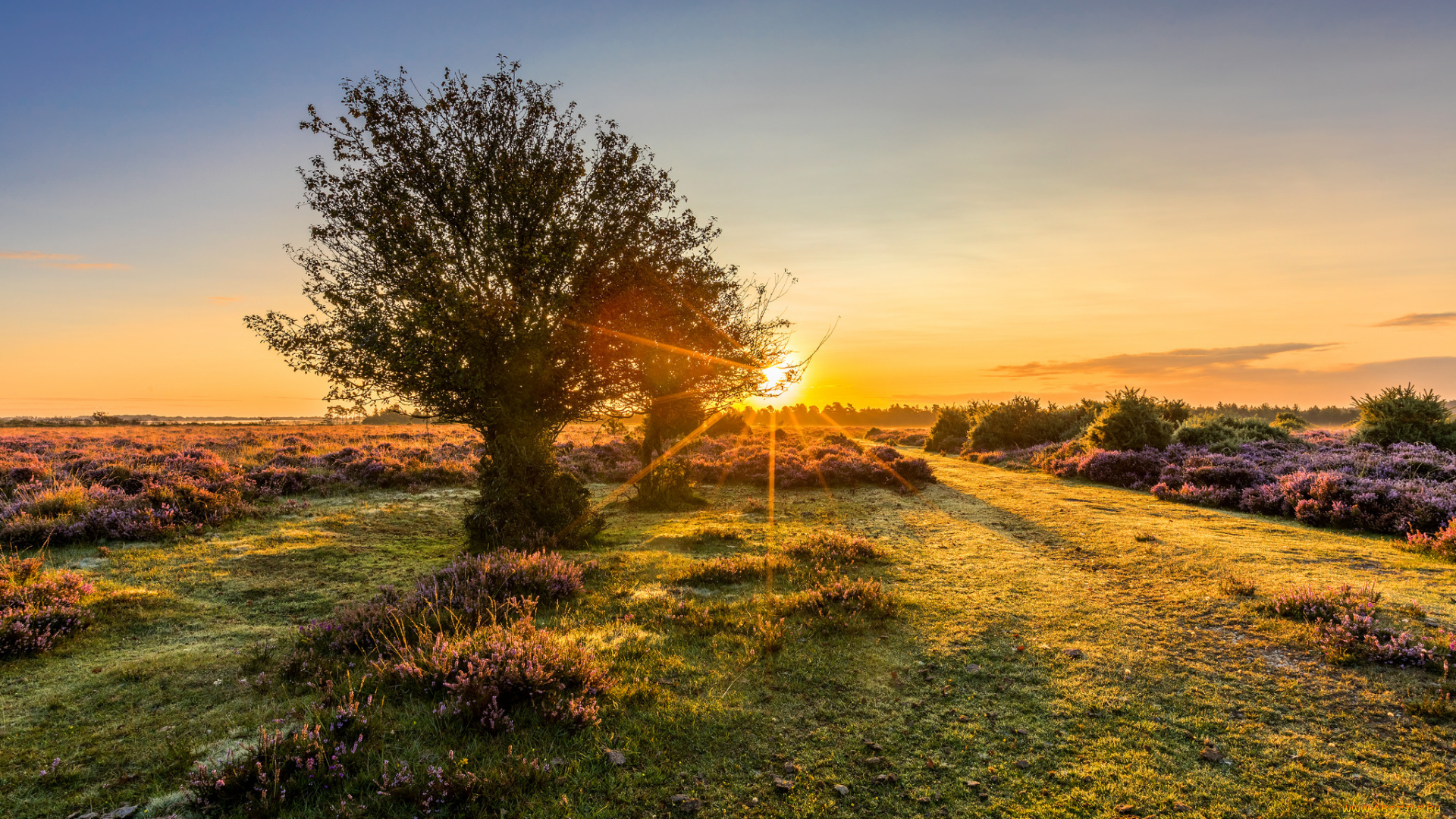 природа, восходы, закаты, рассвет