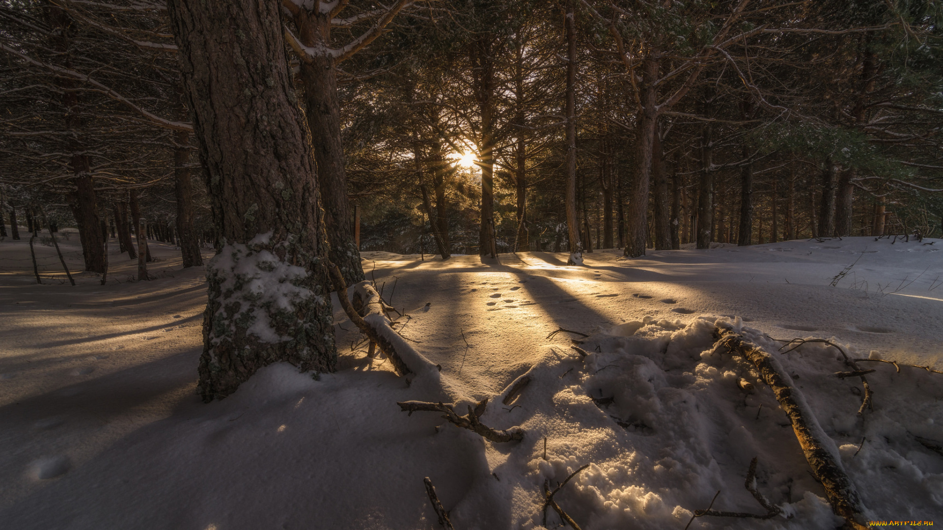 природа, зима, простор