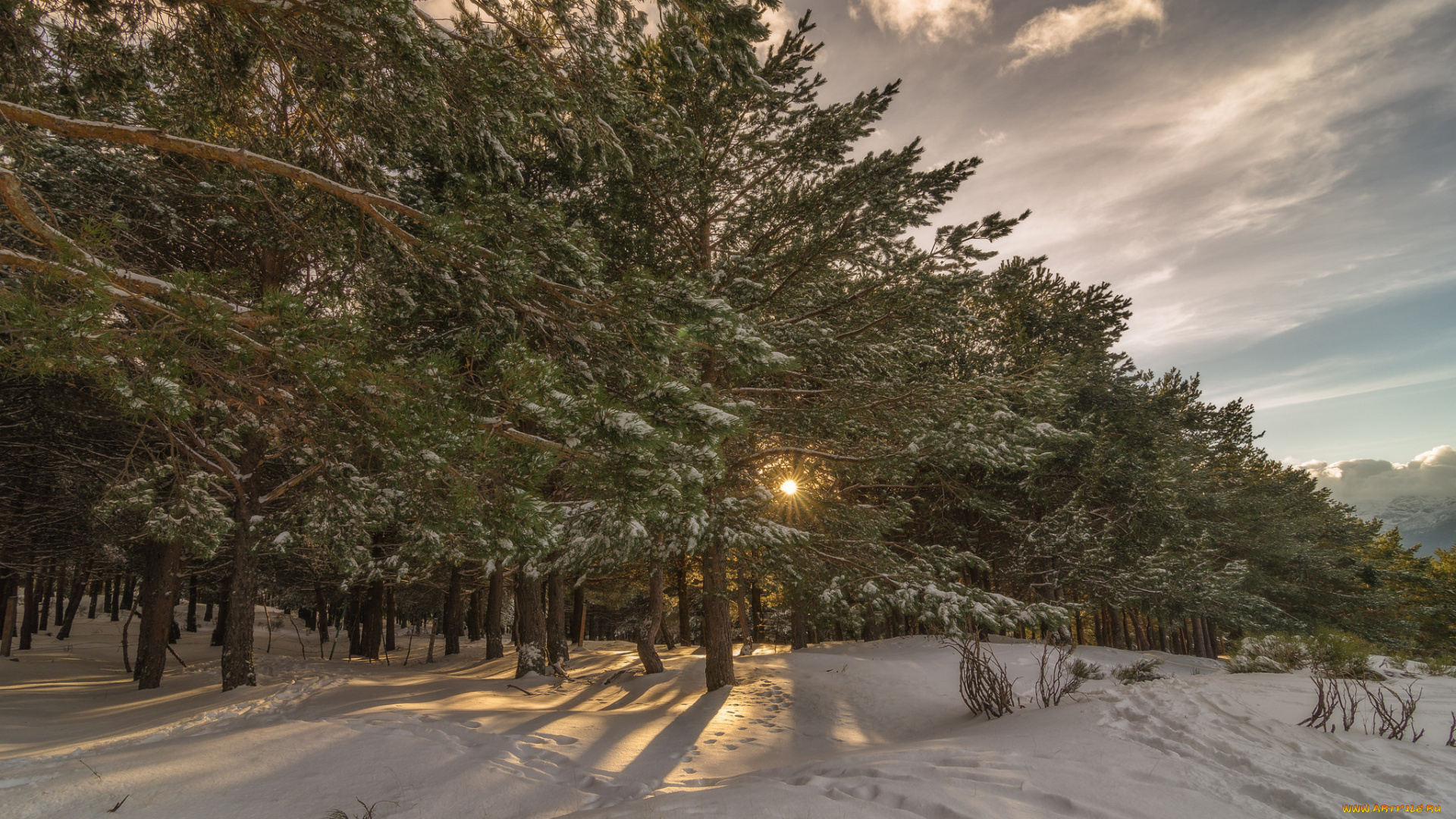 природа, зима, простор