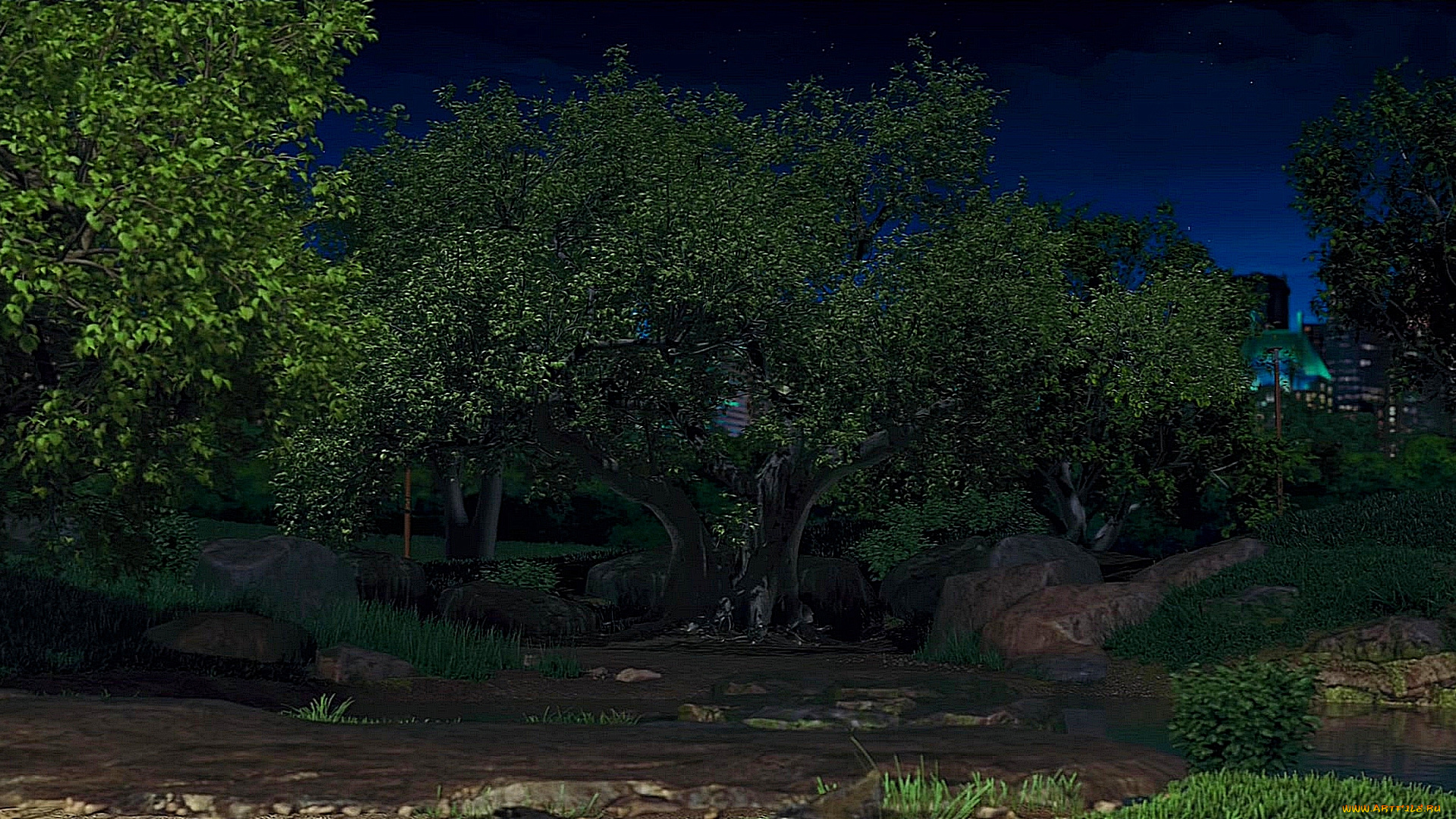 рисованное, природа, растения, камни, ночь, водоем, деревья