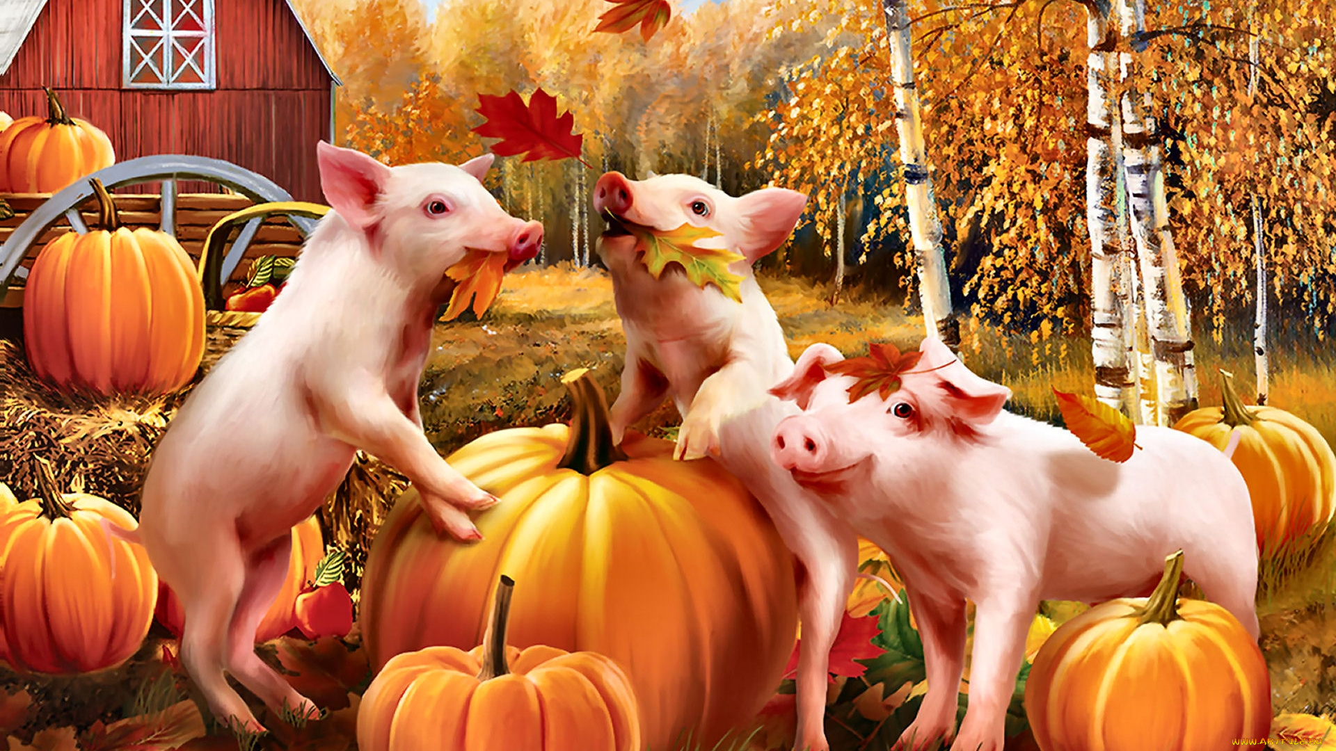 рисованное, животные, тыквы, лес, поросята