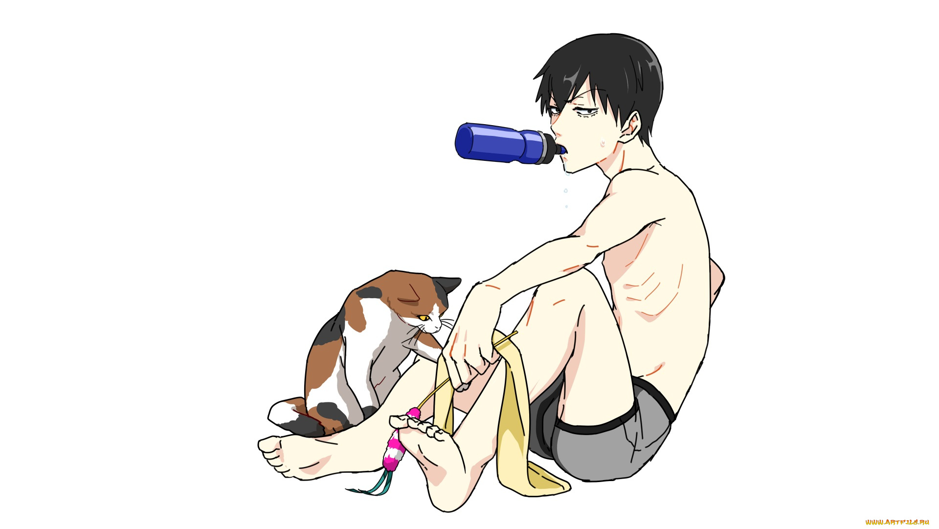 аниме, yowamushi, pedal, парень