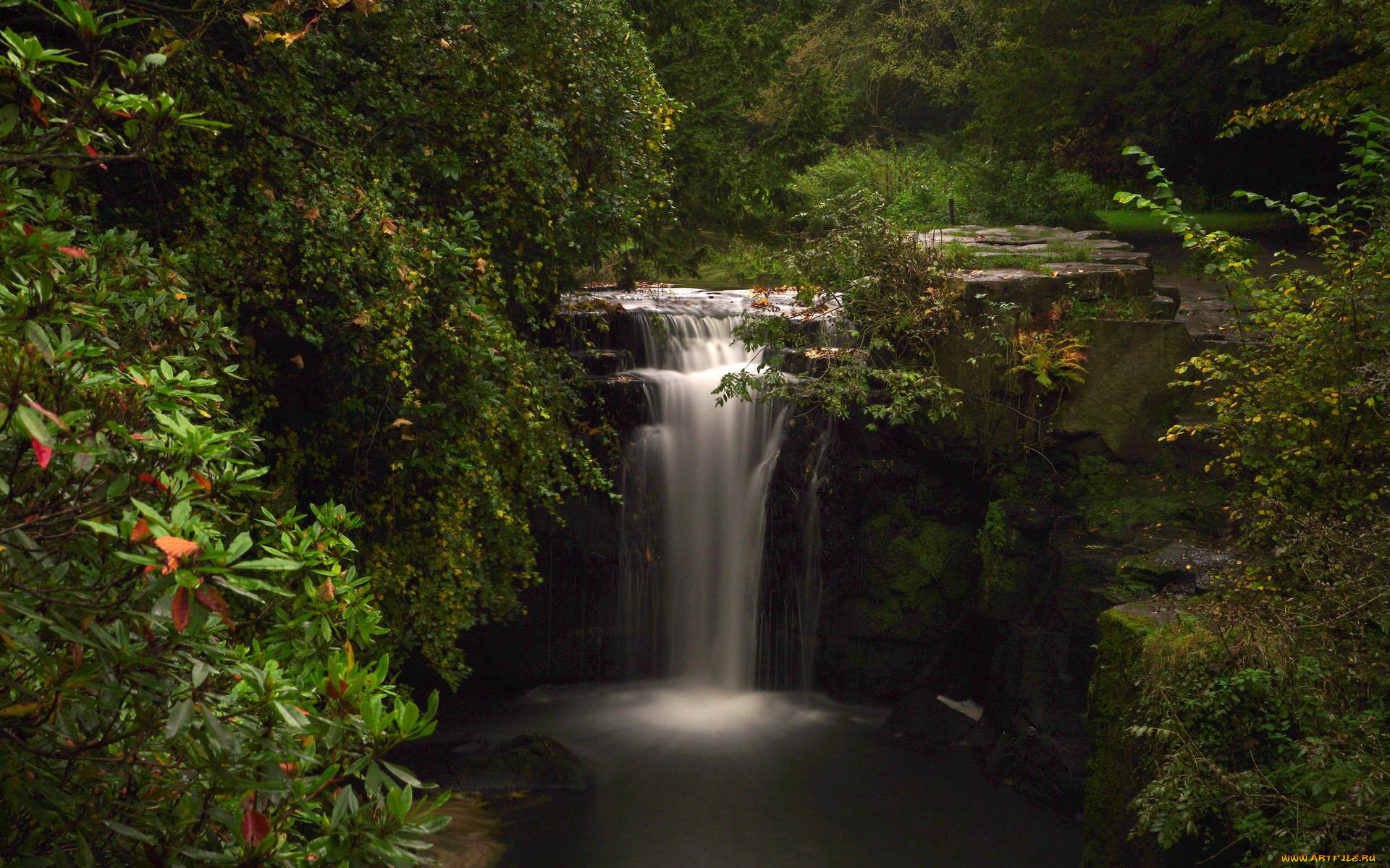 природа, водопады, англия, ньюкасл-апон-тайн, jesmond, dene, park, водопад, кусты