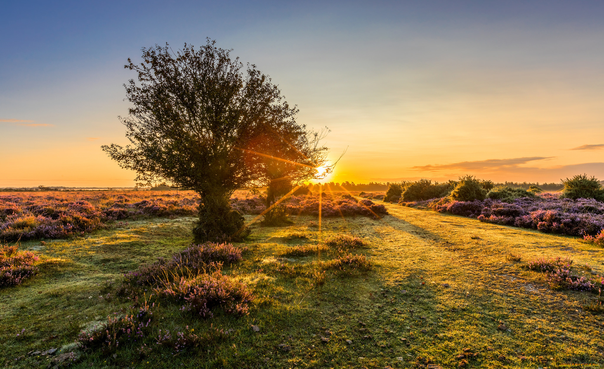 природа, восходы, закаты, рассвет