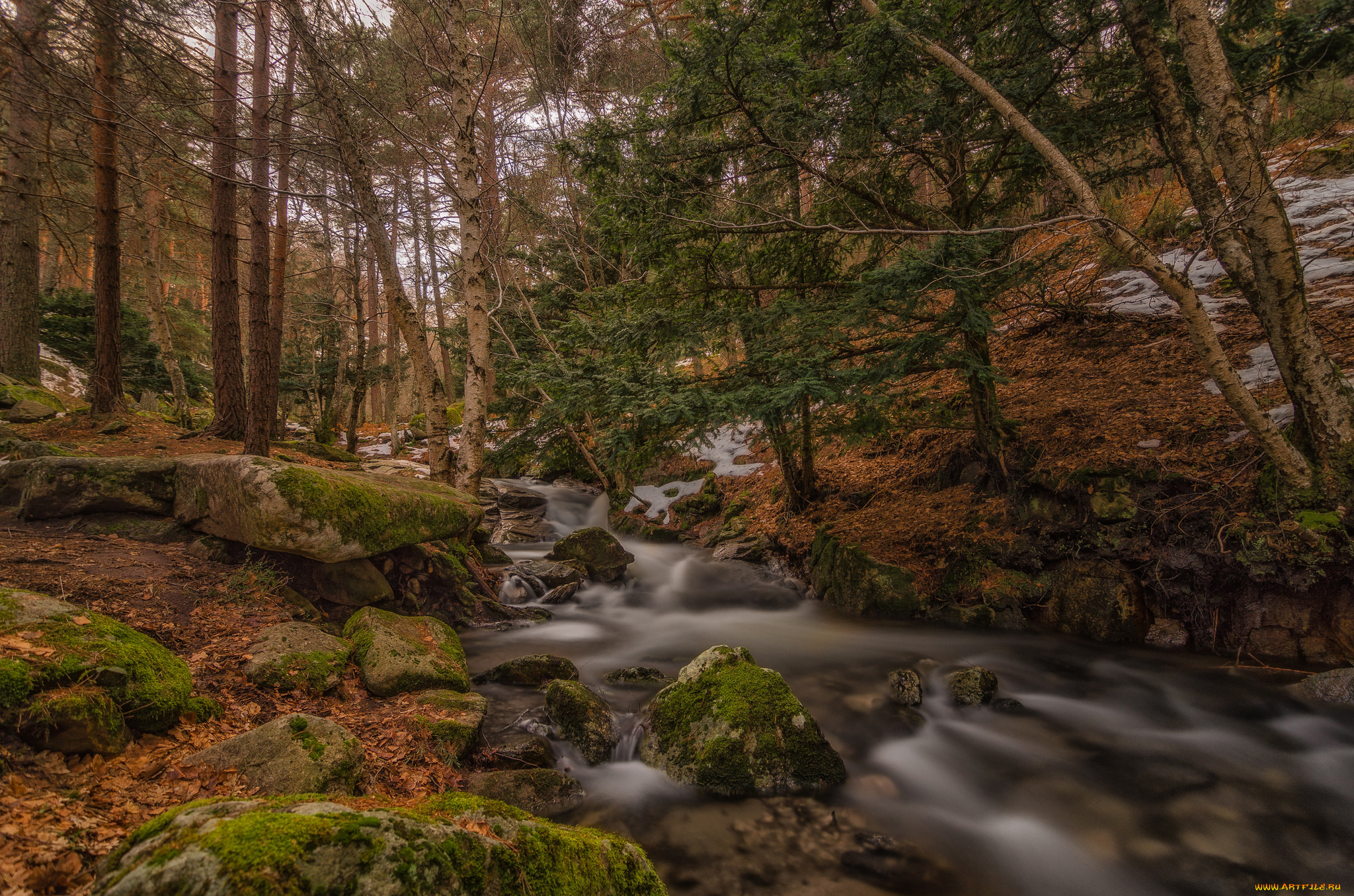 природа, реки, озера, простор