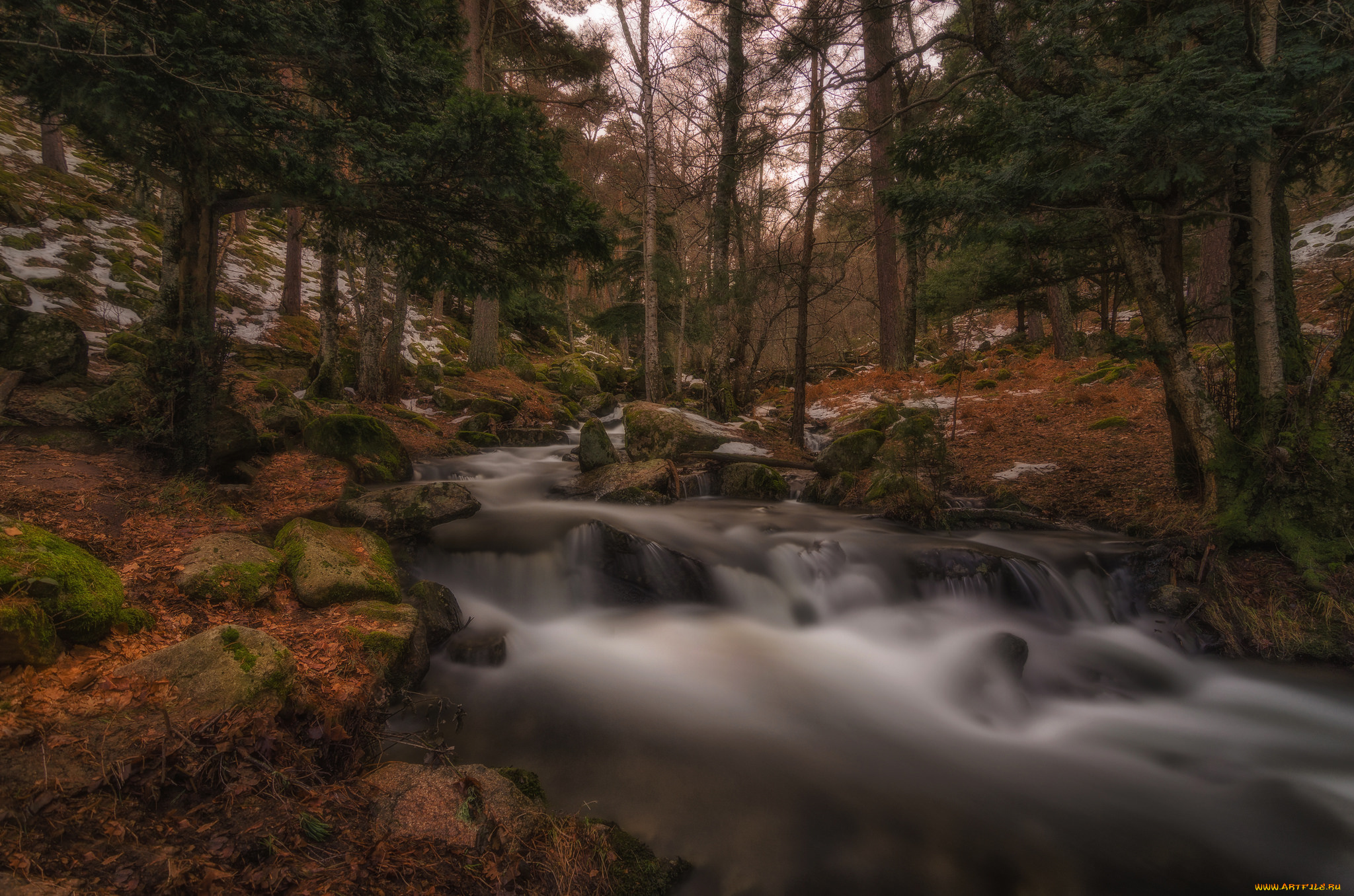 природа, реки, озера, простор