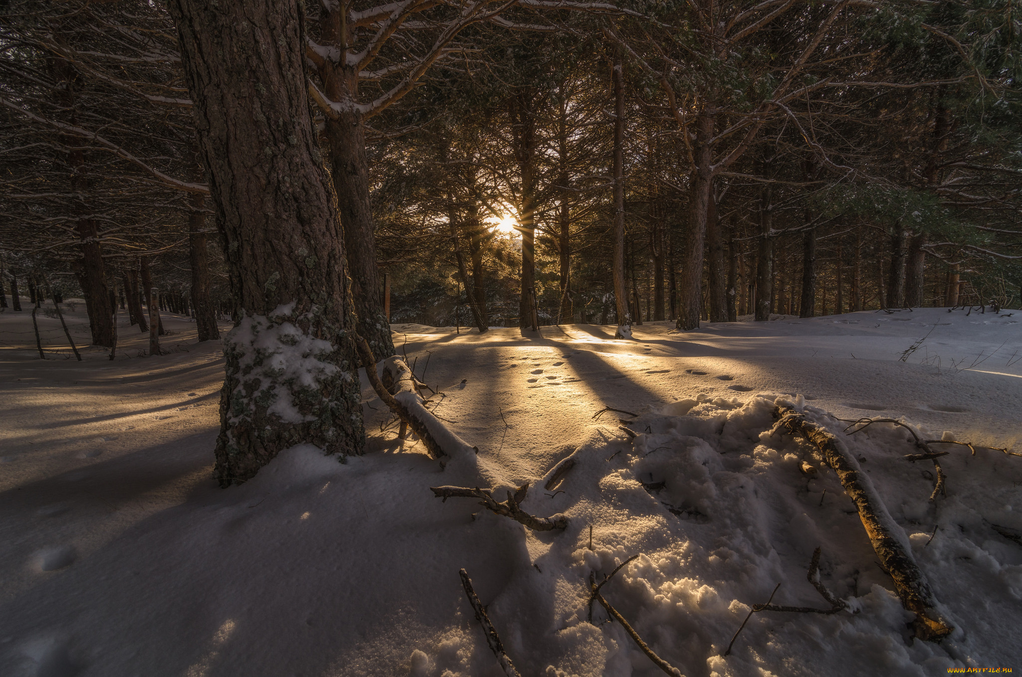природа, зима, простор