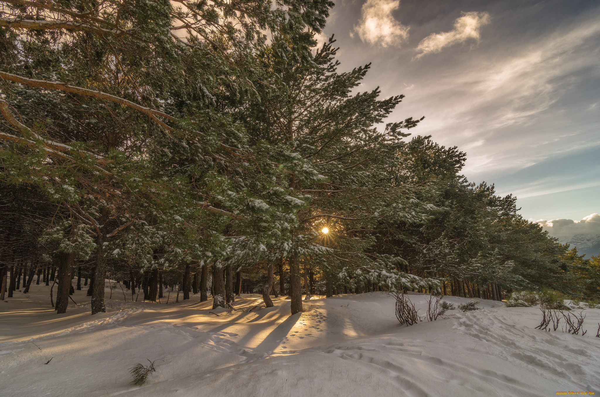 природа, зима, простор