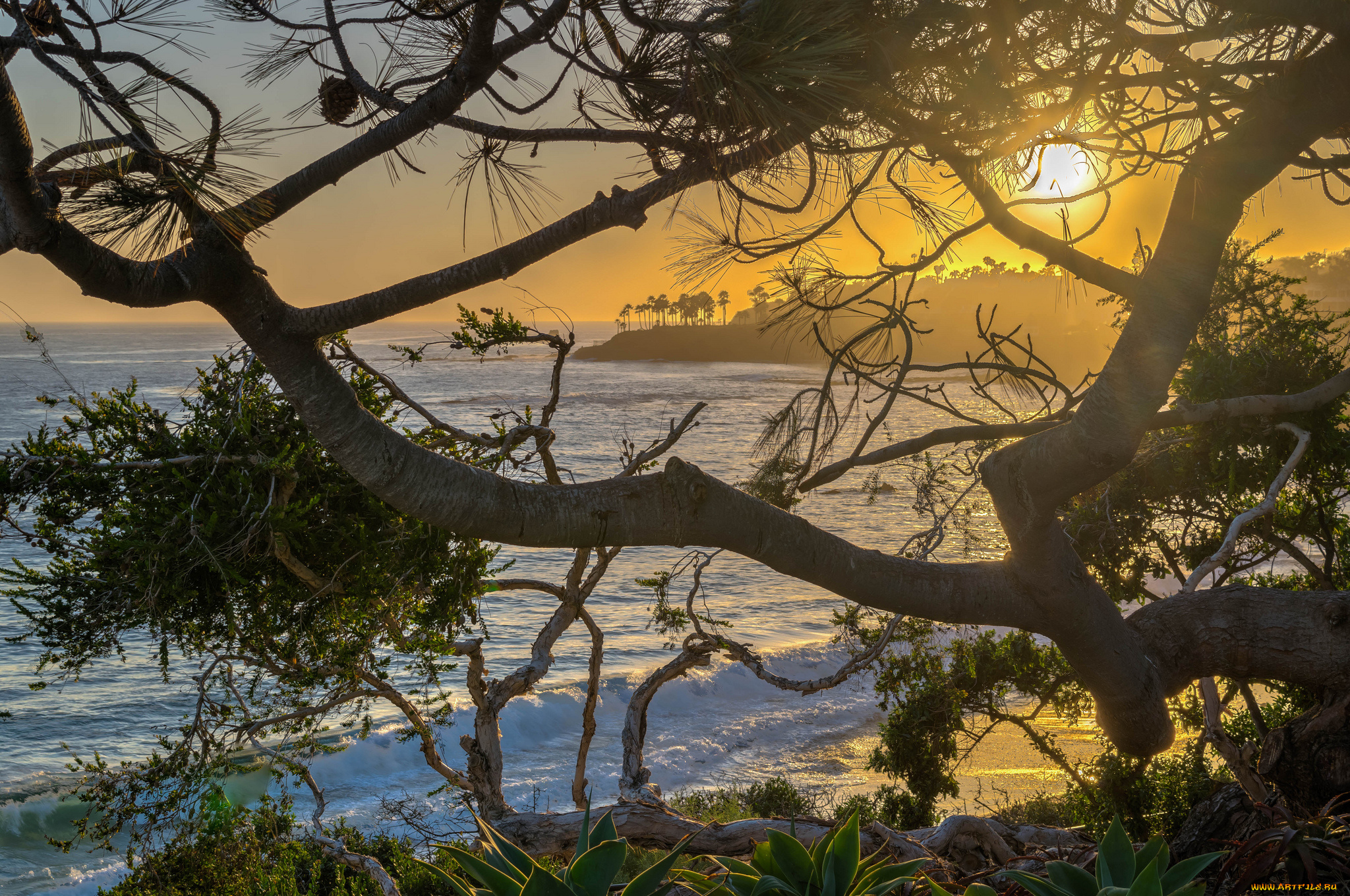 природа, побережье, простор