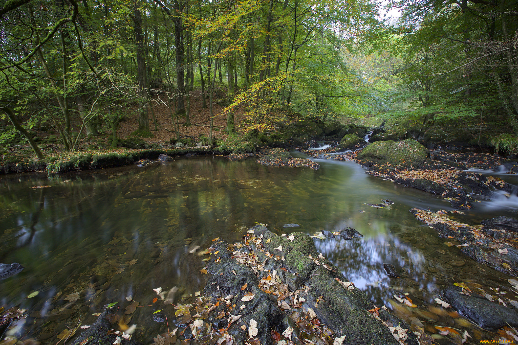 природа, реки, озера, простор