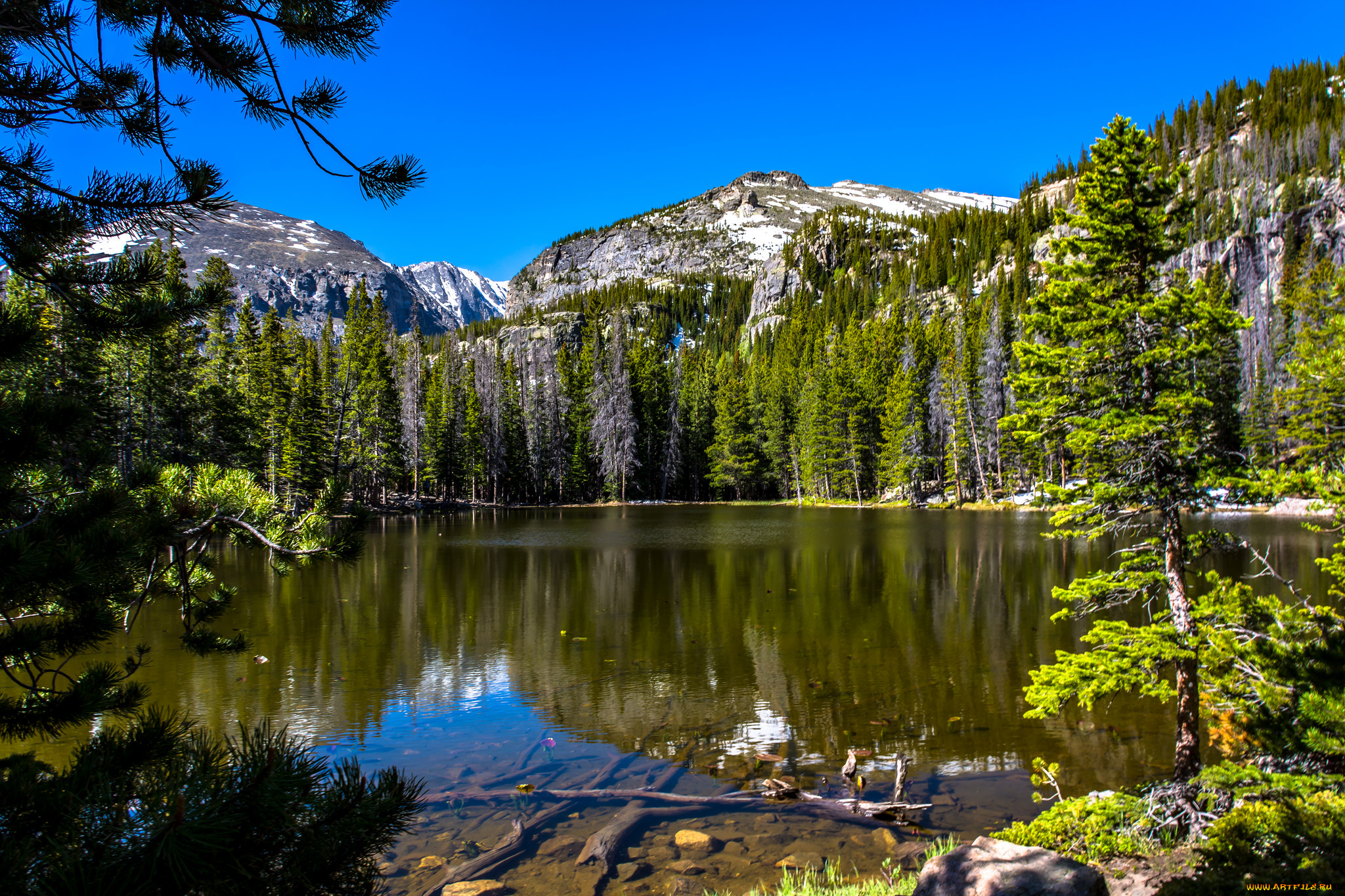 природа, реки, озера, простор