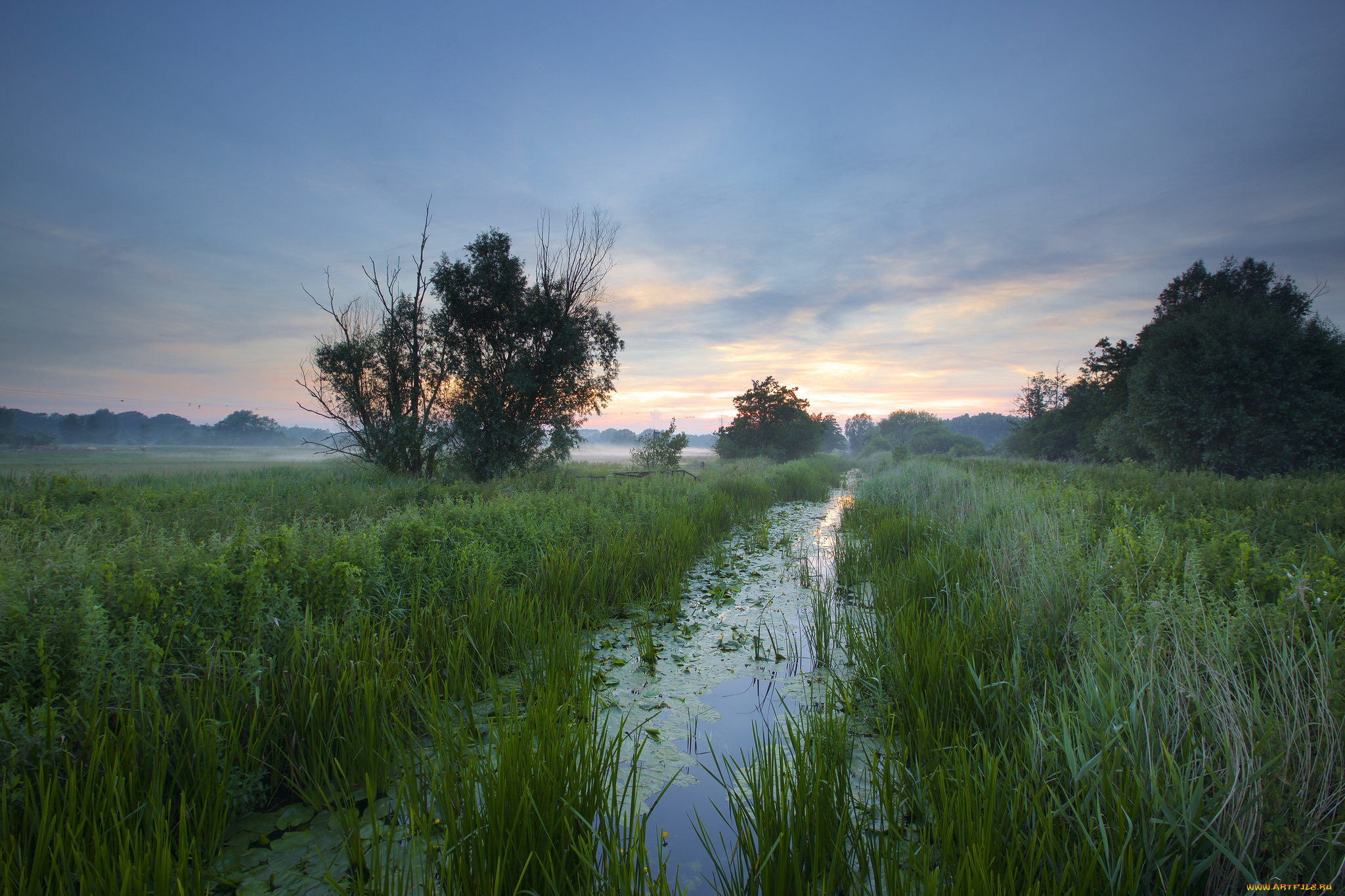 природа, реки, озера, простор