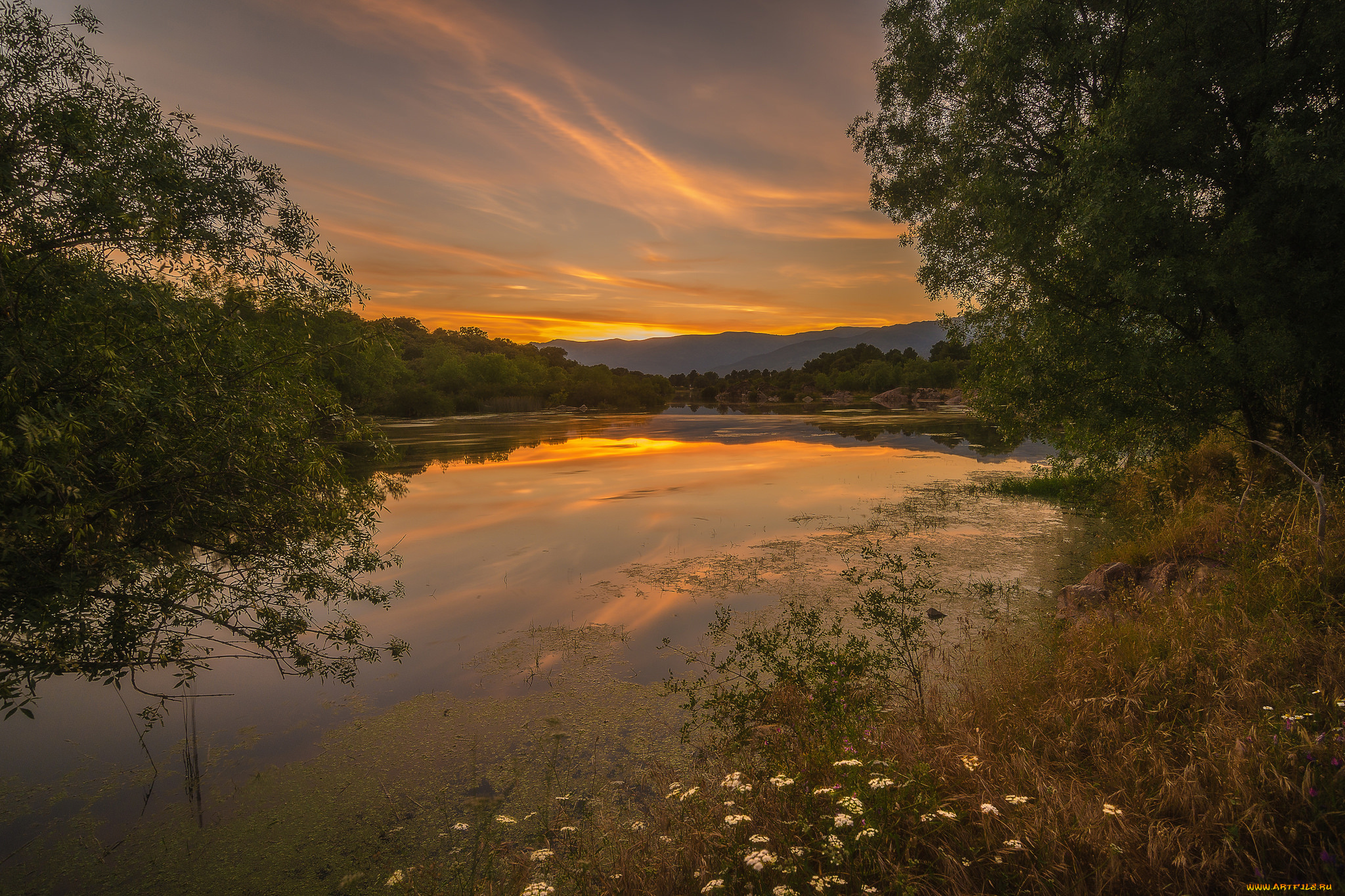 природа, реки, озера, простор