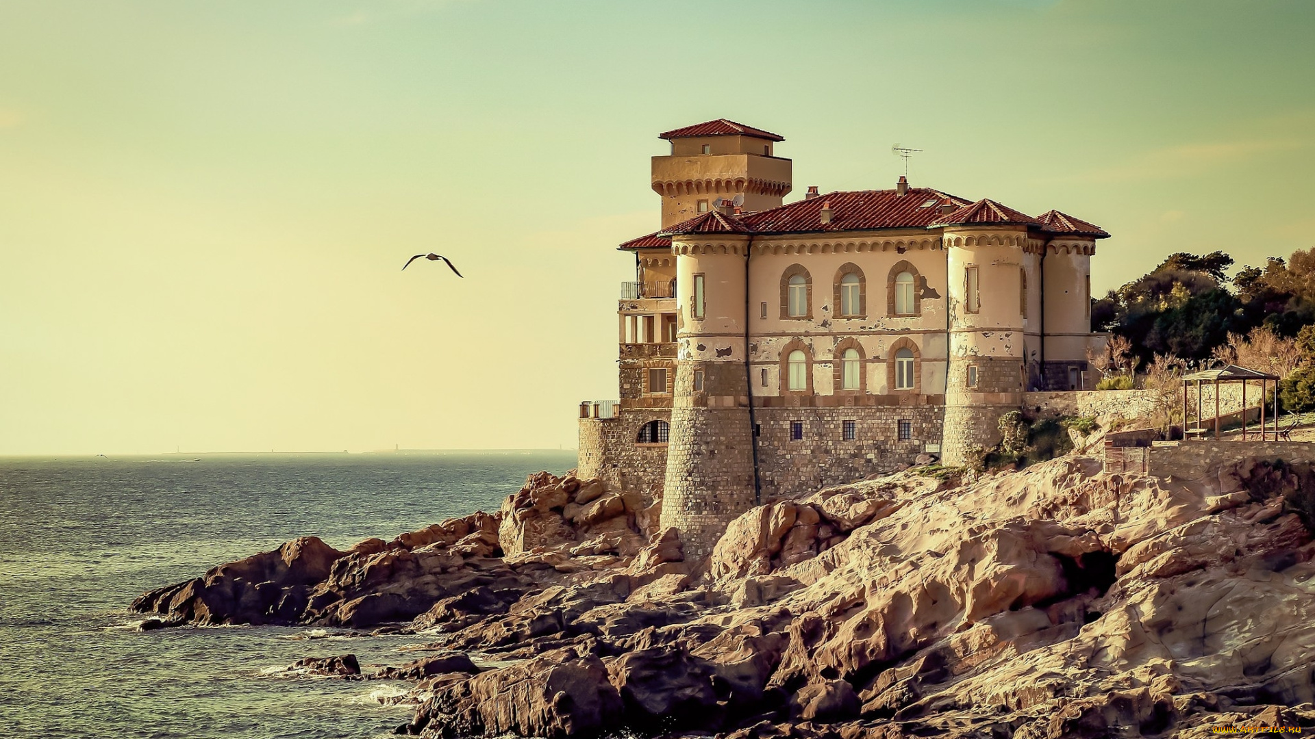 castello, del, boccale-livorno, города, замки, италии, простор