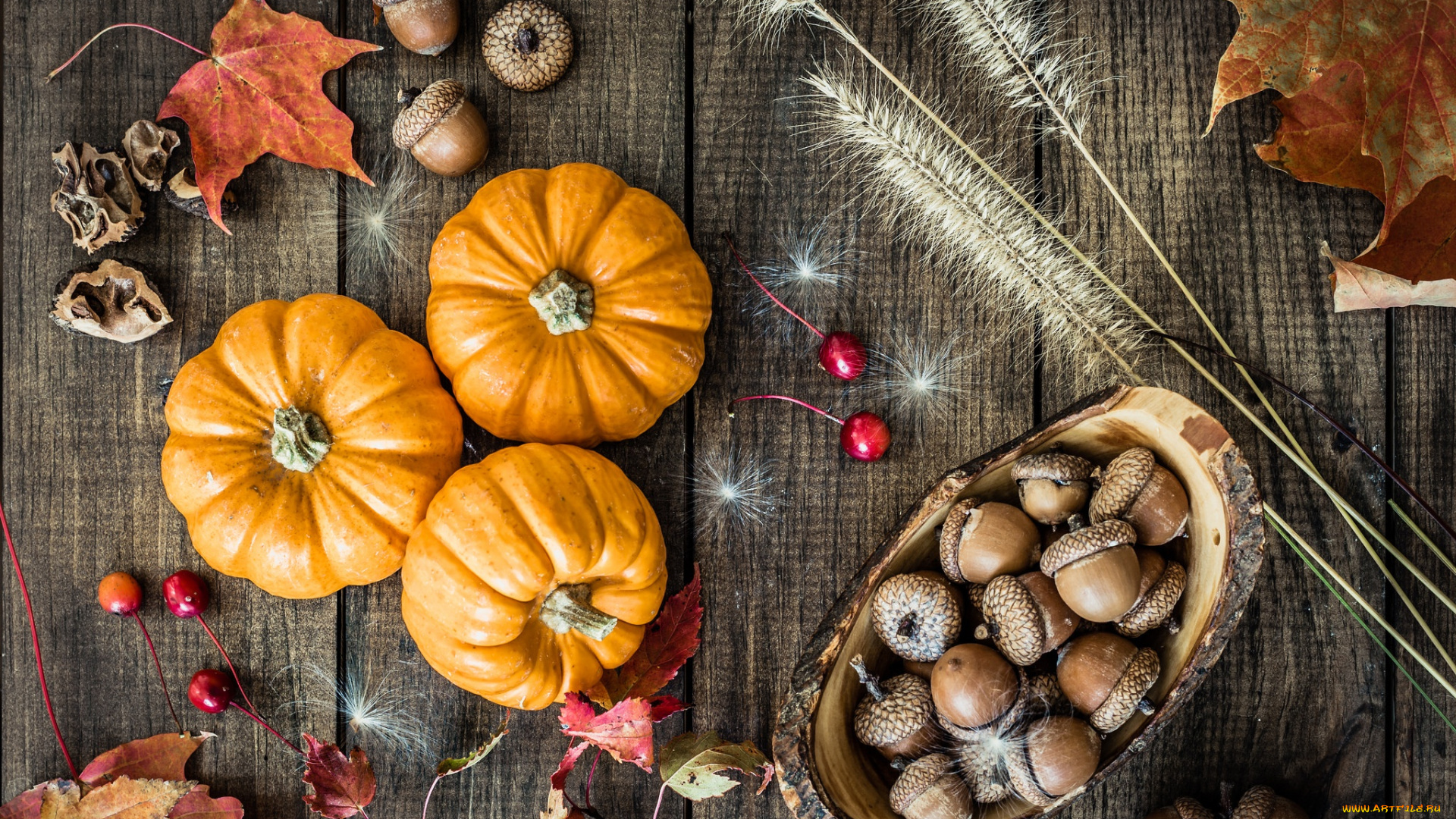 еда, тыква, желуди, листья, осень