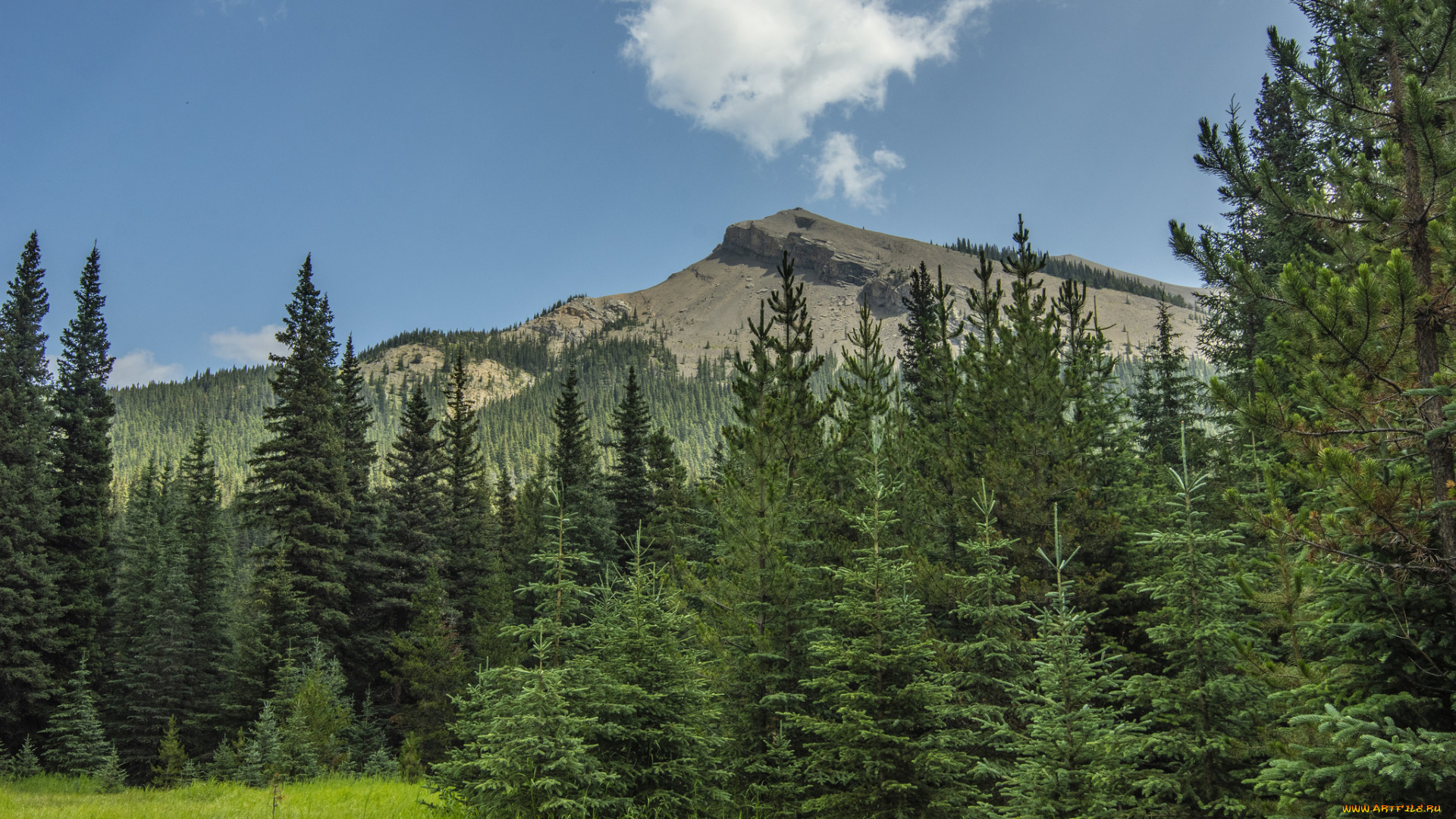 природа, горы, простор