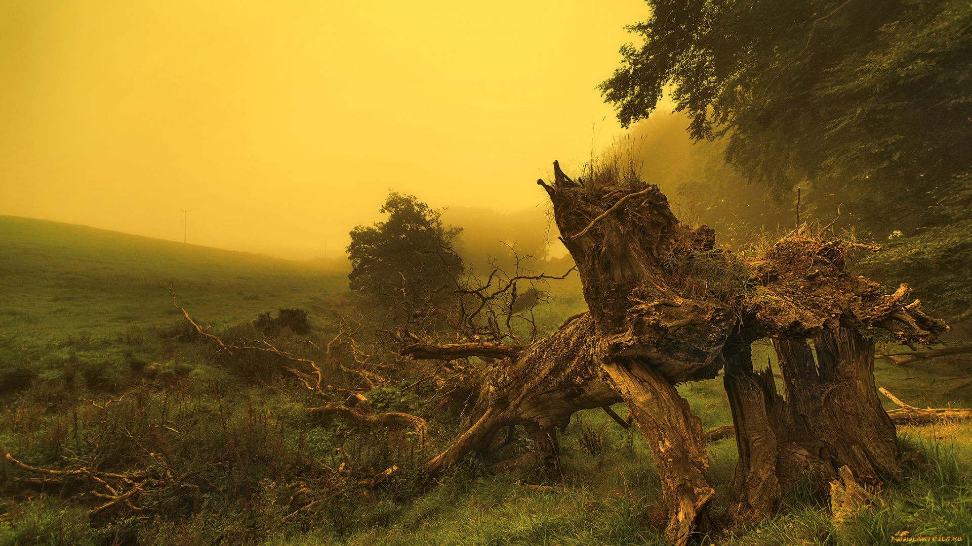 природа, пейзажи, простор