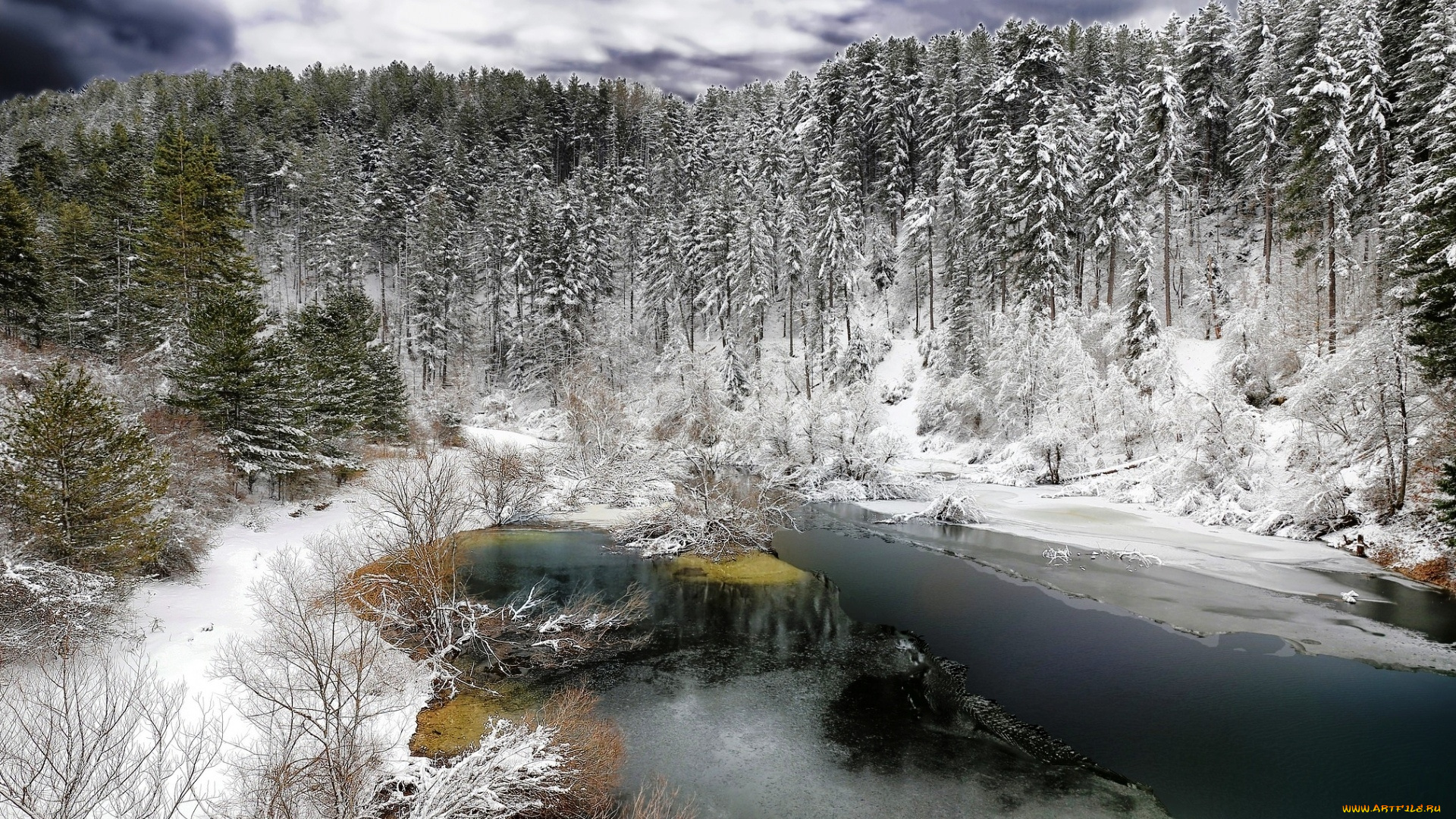 природа, реки, озера, лес, река