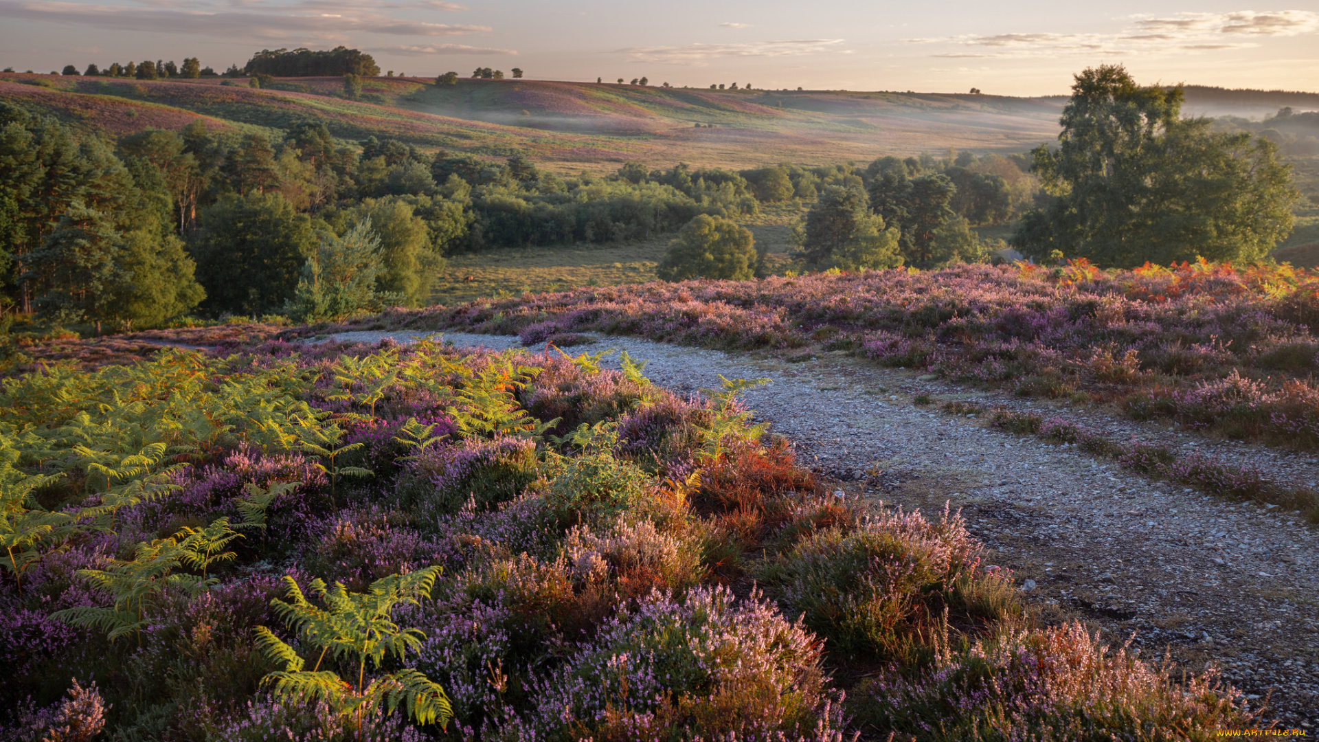 природа, реки, озера, простор