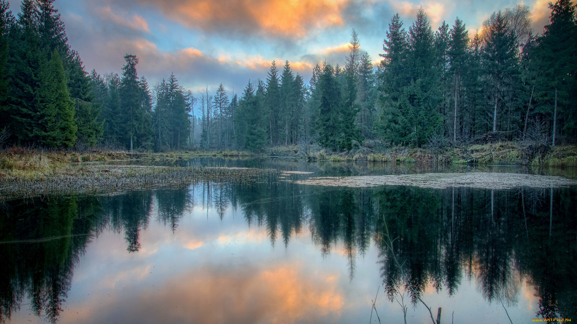 природа, реки, озера, простор